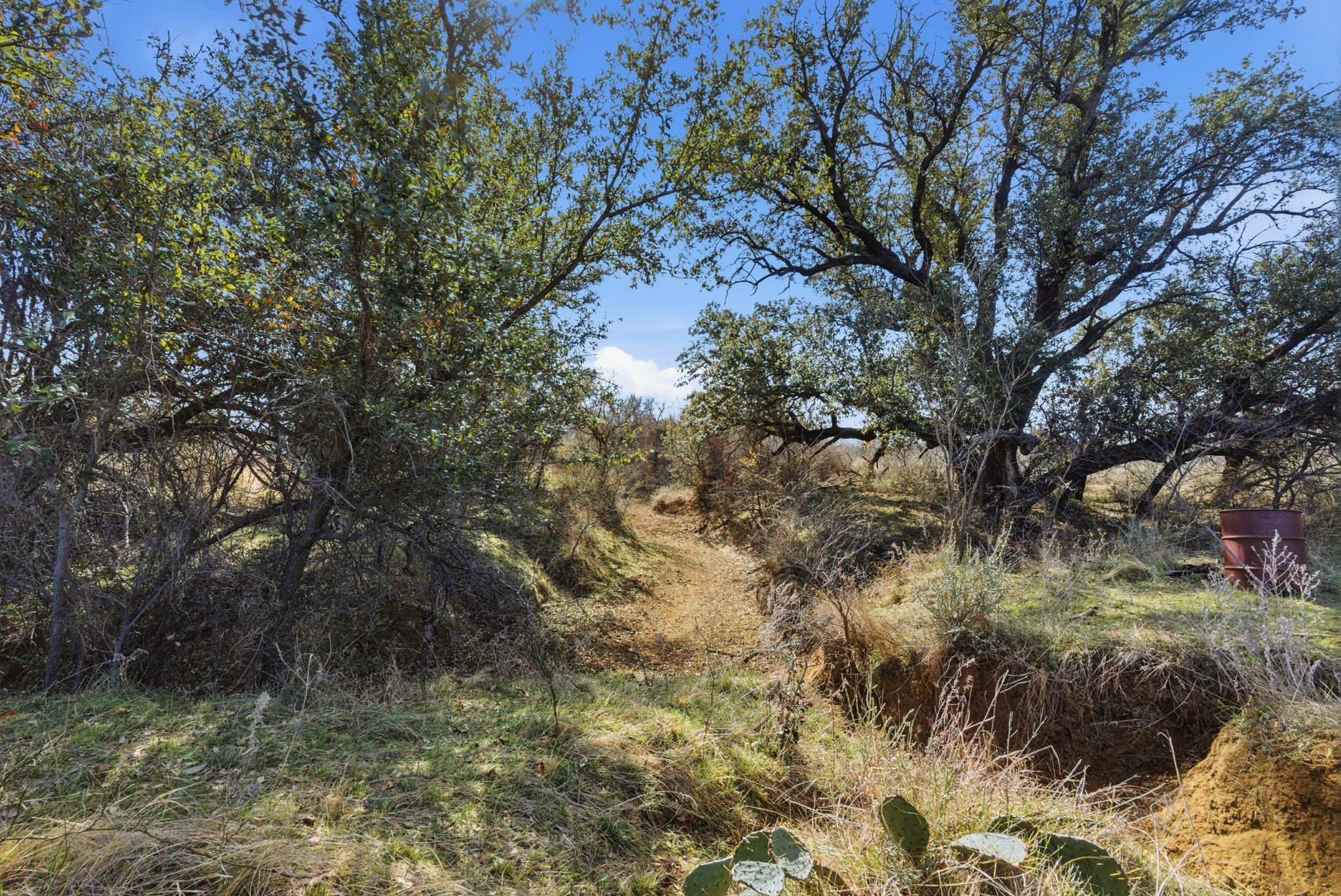 Tbd Fm 880 Moran TX 76464