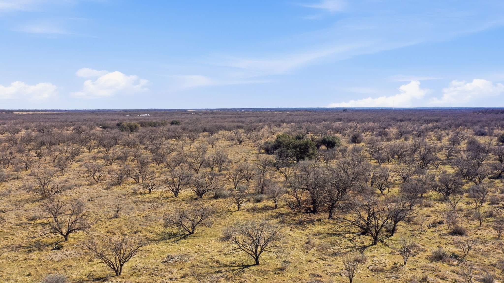 Tbd Fm 880 Moran TX 76464