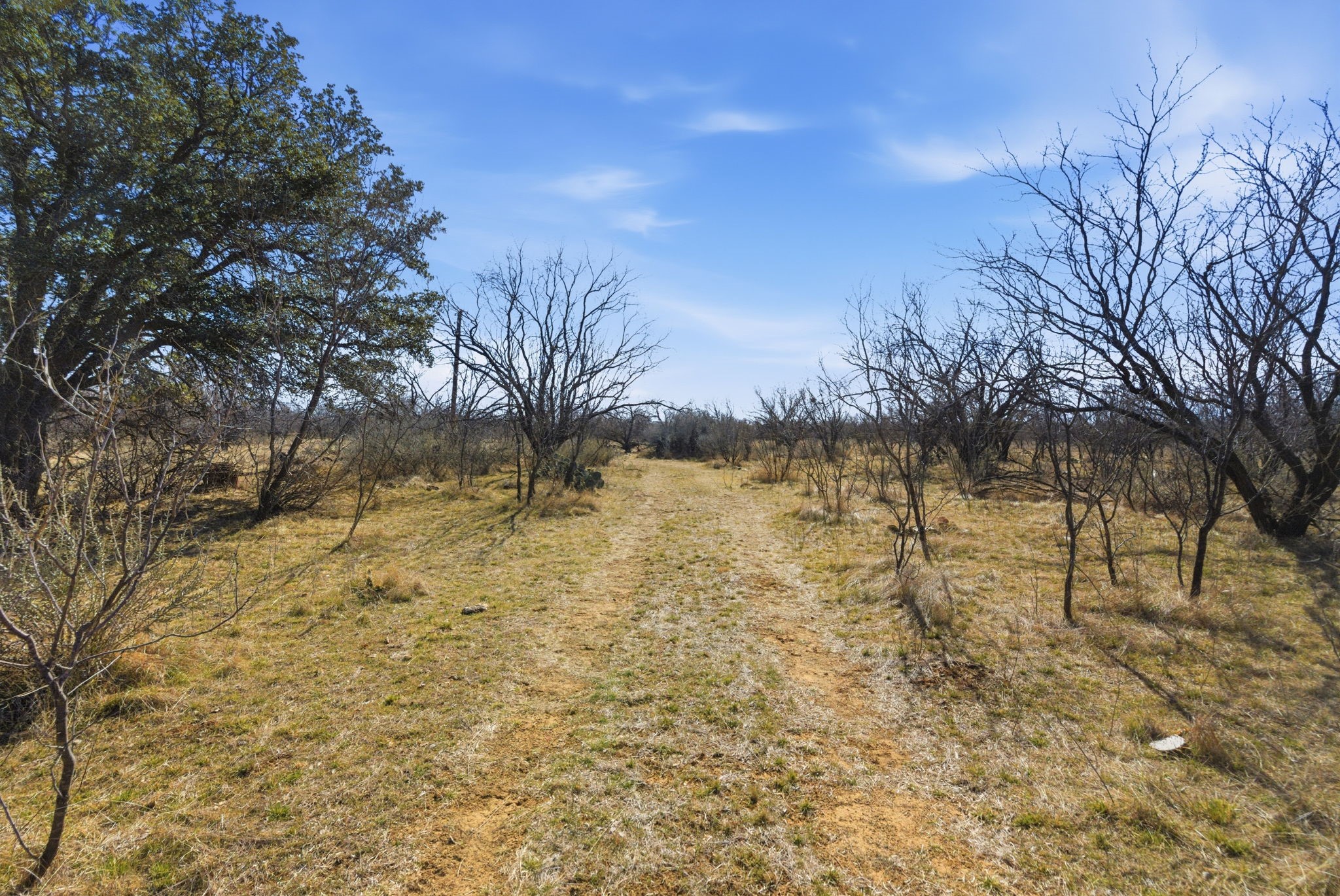 Tbd Fm 880 Moran TX 76464