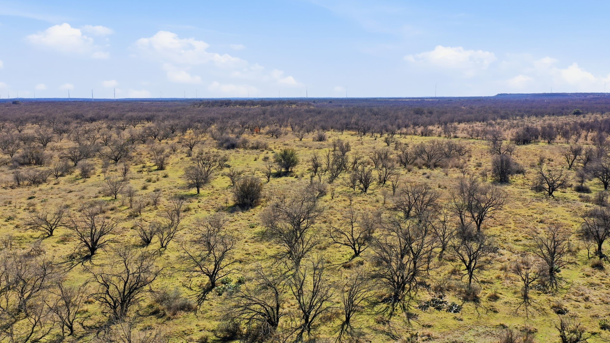 Tbd Fm 880 Moran TX 76464
