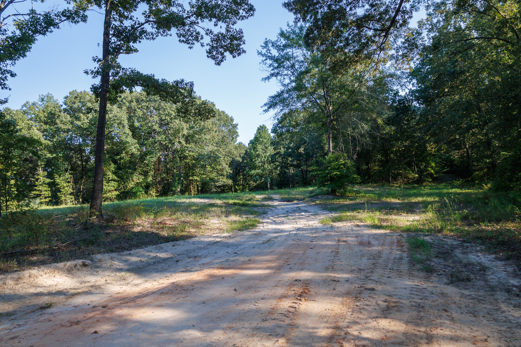Tbd County Road 480 Lindale TX 75771
