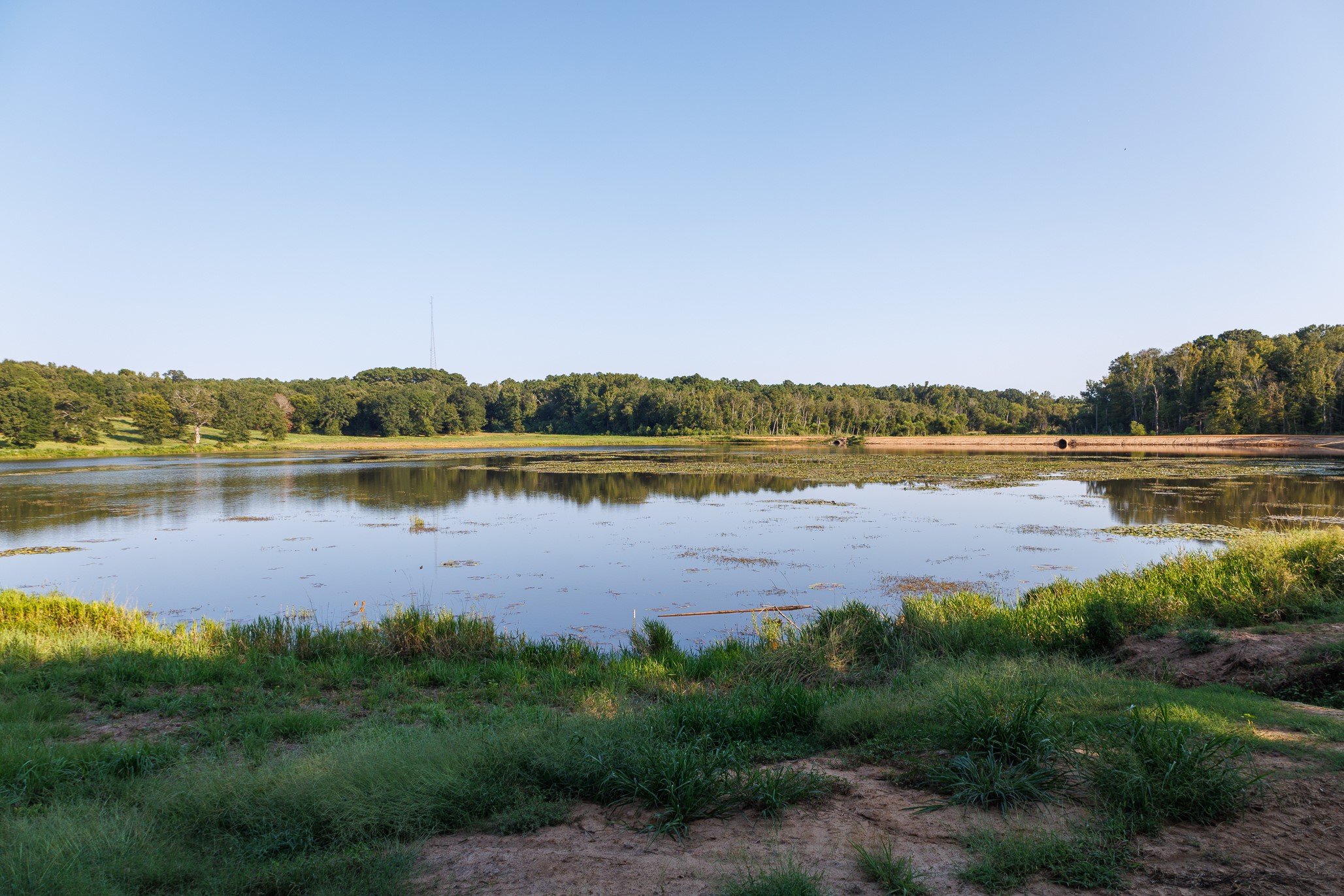 Tbd County Road 480 Lindale TX 75771