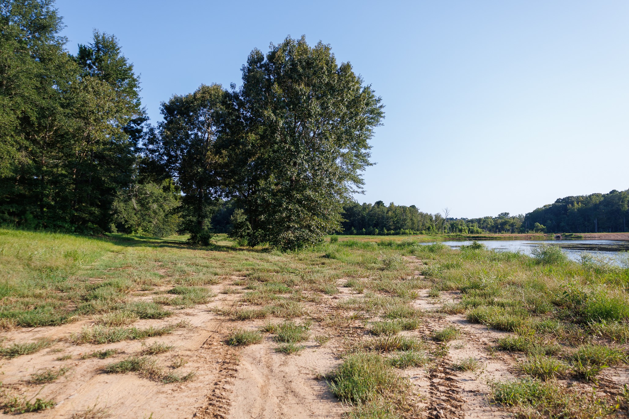 Tbd County Road 480 Lindale TX 75771