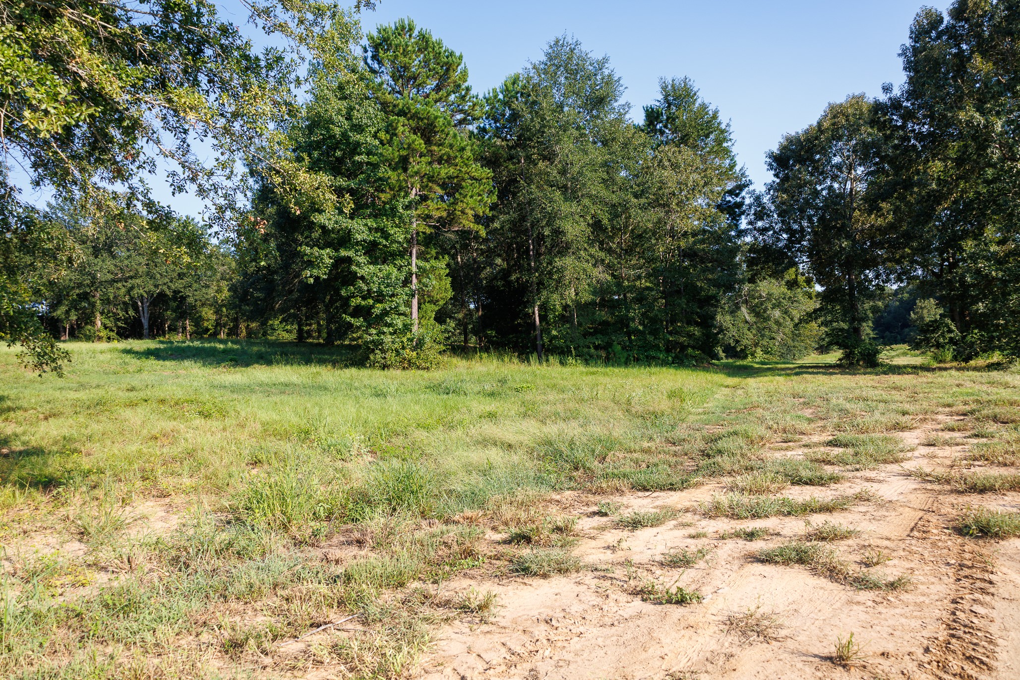 Tbd County Road 480 Lindale TX 75771