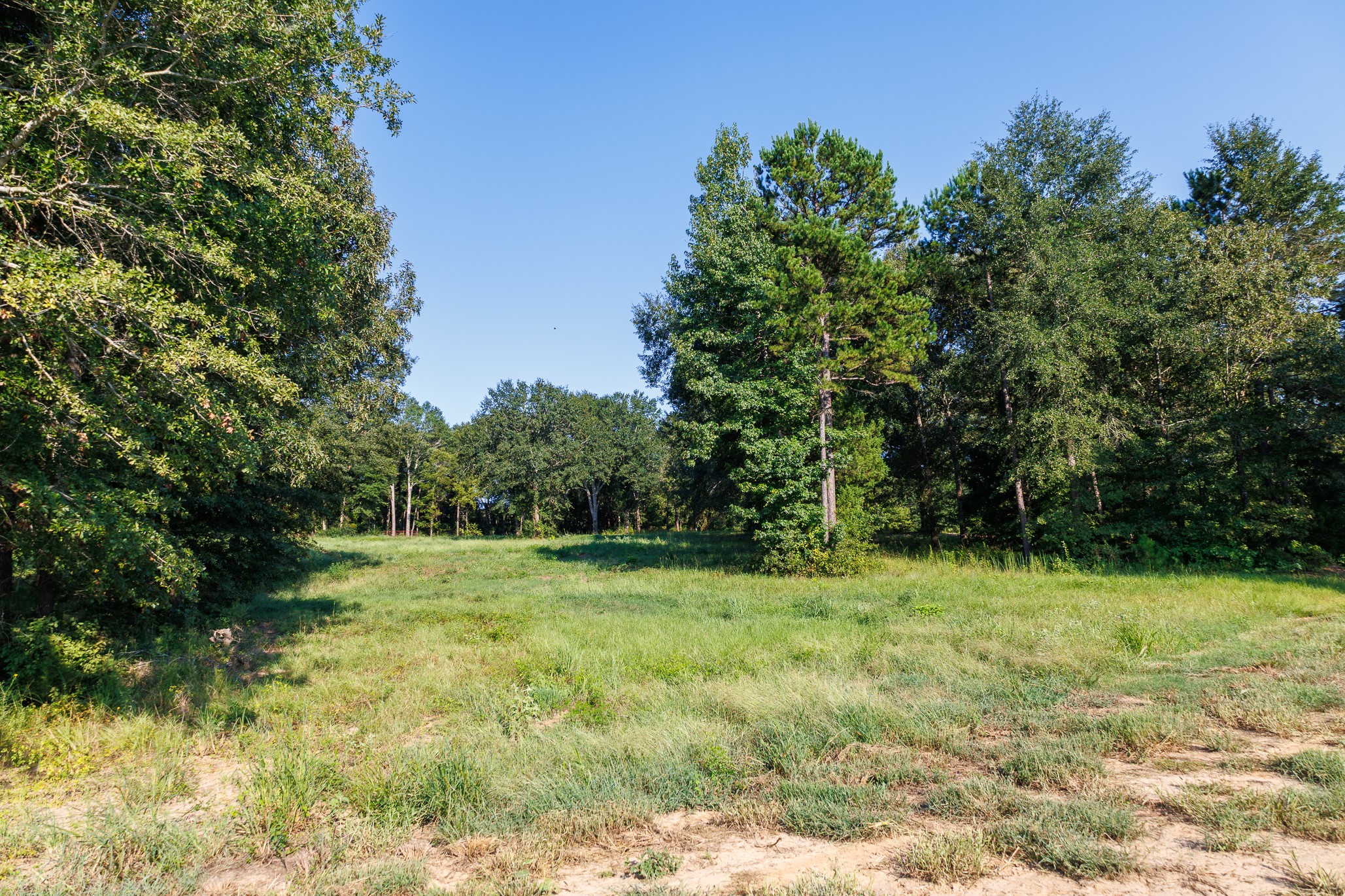 Tbd County Road 480 Lindale TX 75771