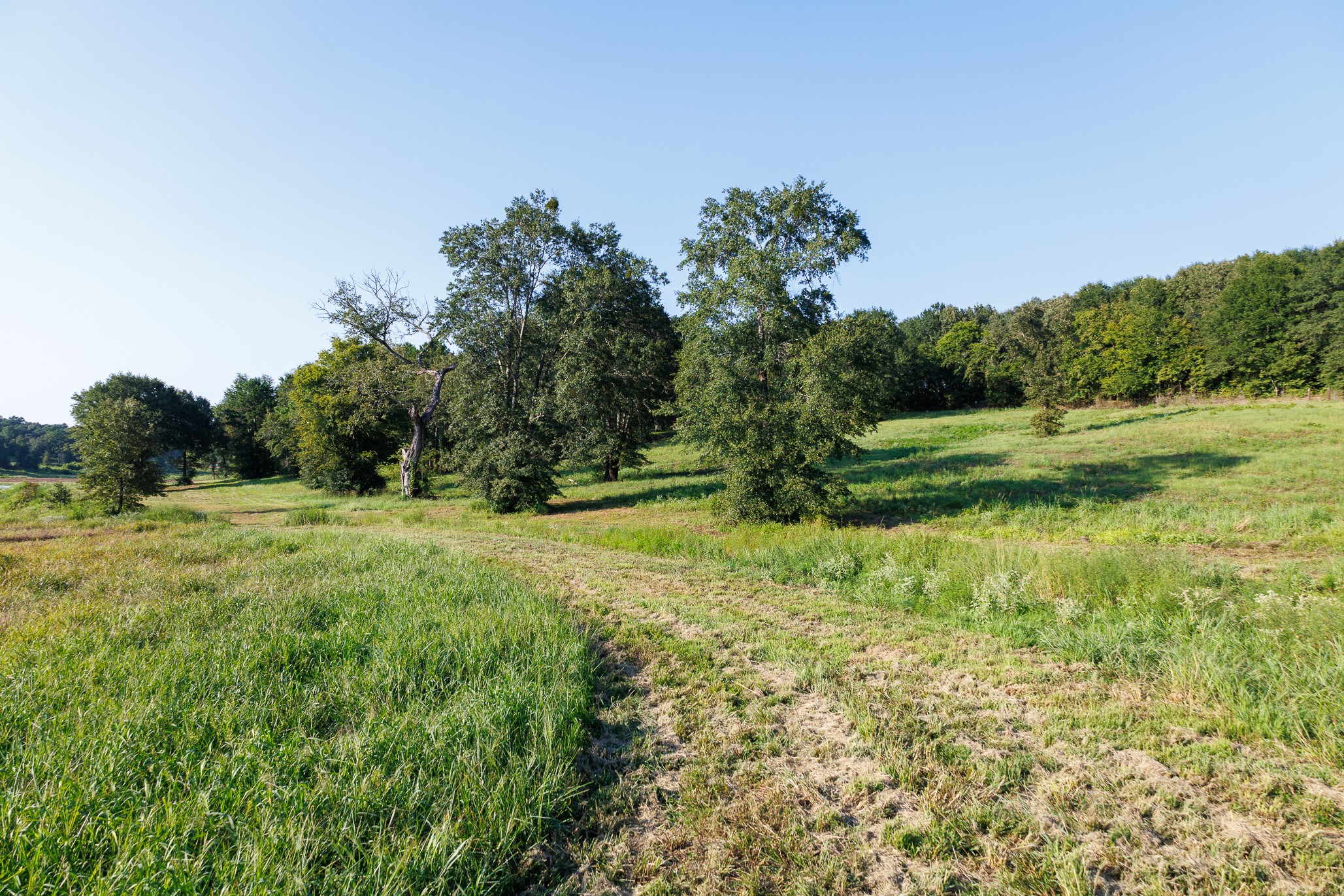 Tbd County Road 480 Lindale TX 75771