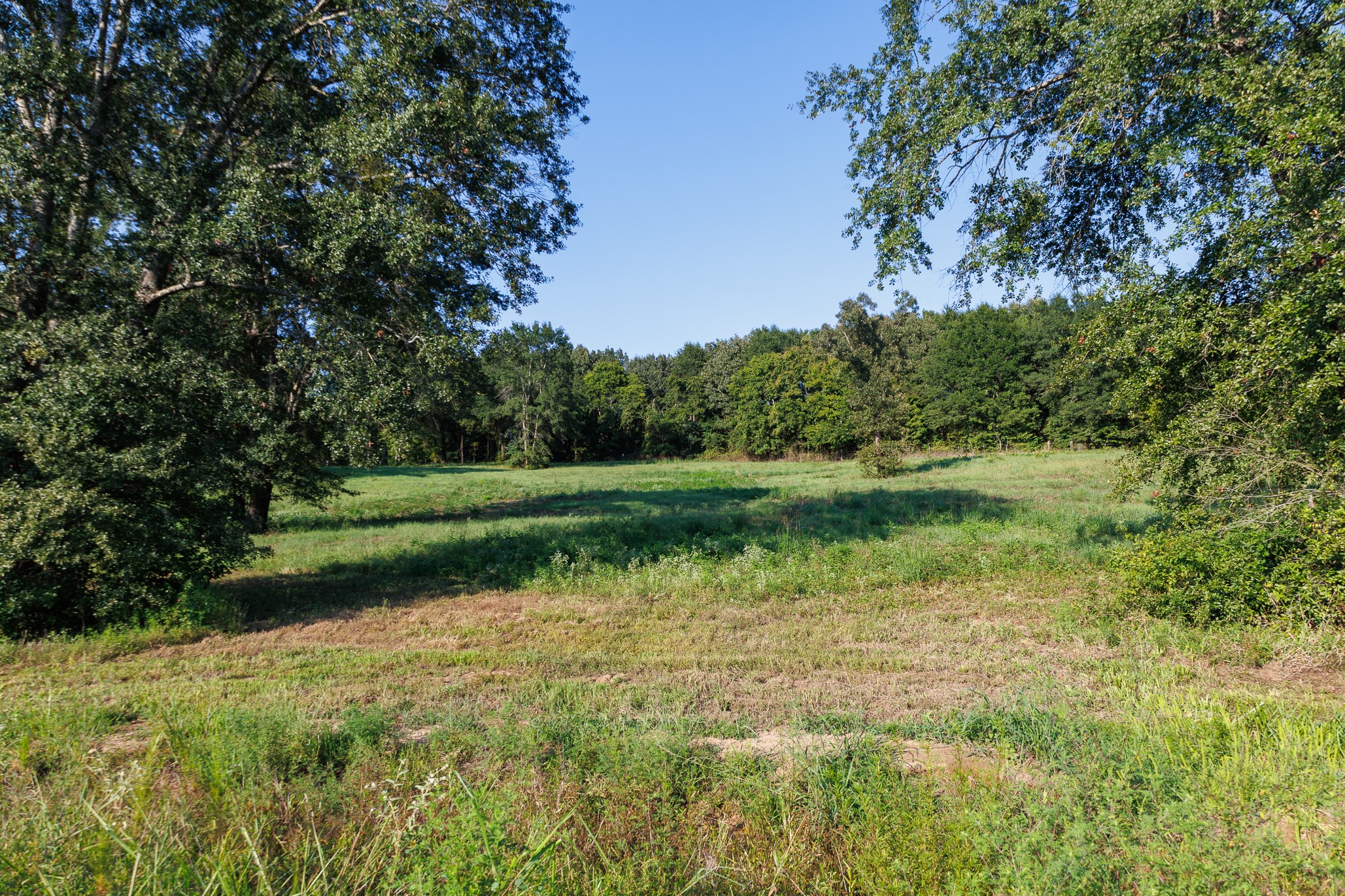 Tbd County Road 480 Lindale TX 75771