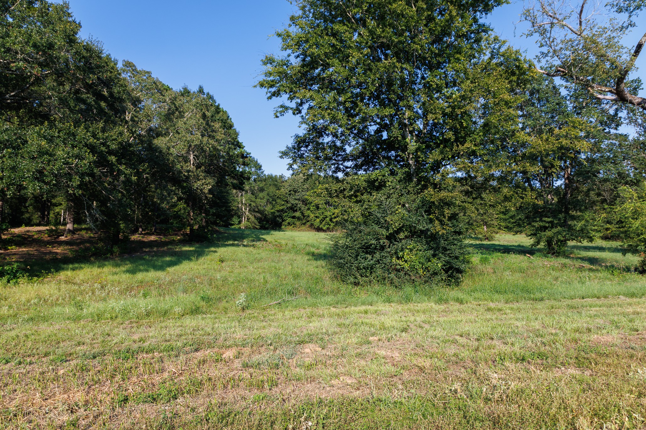 Tbd County Road 480 Lindale TX 75771