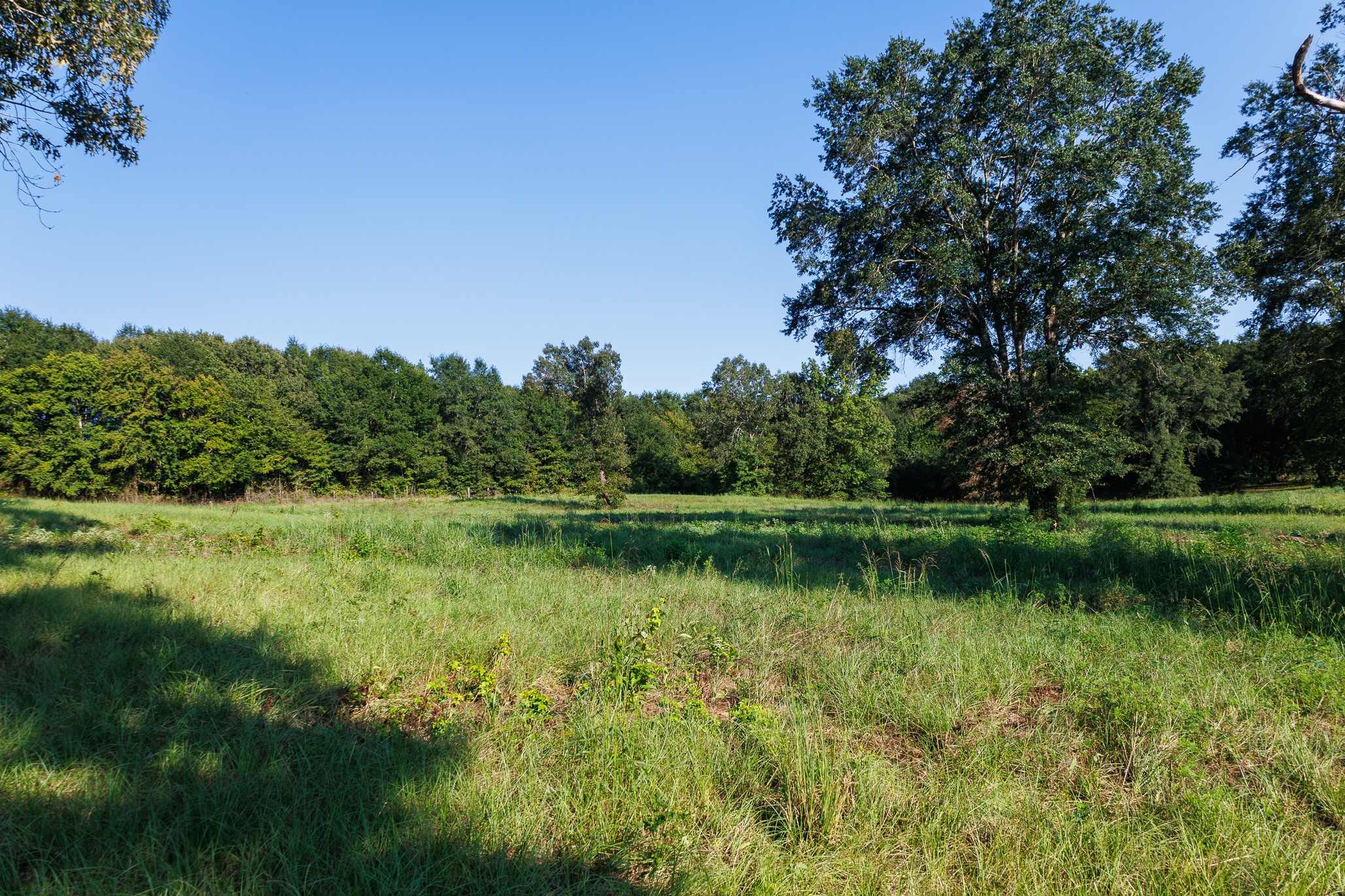 Tbd County Road 480 Lindale TX 75771