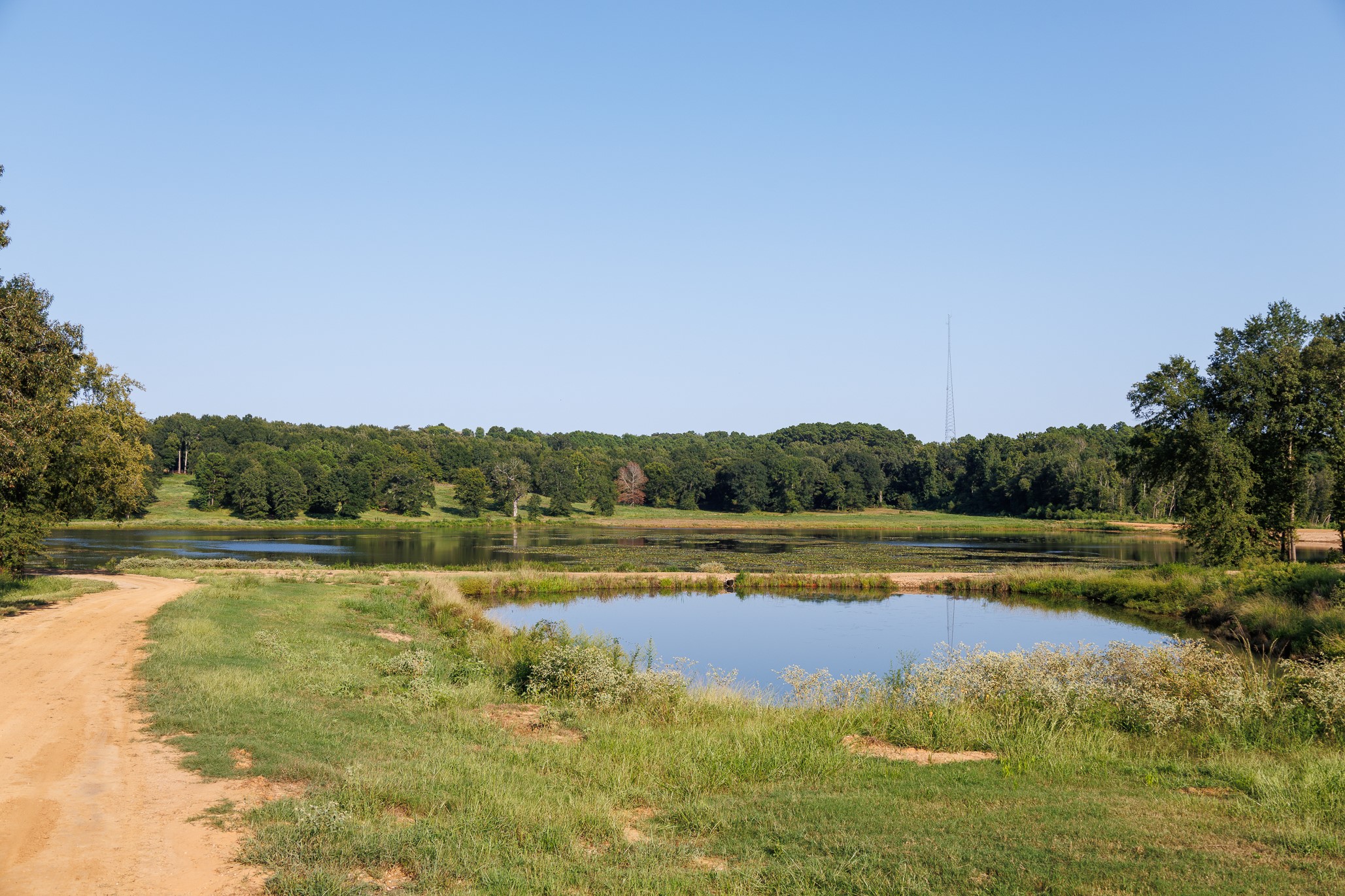 Tbd County Road 480 Lindale TX 75771