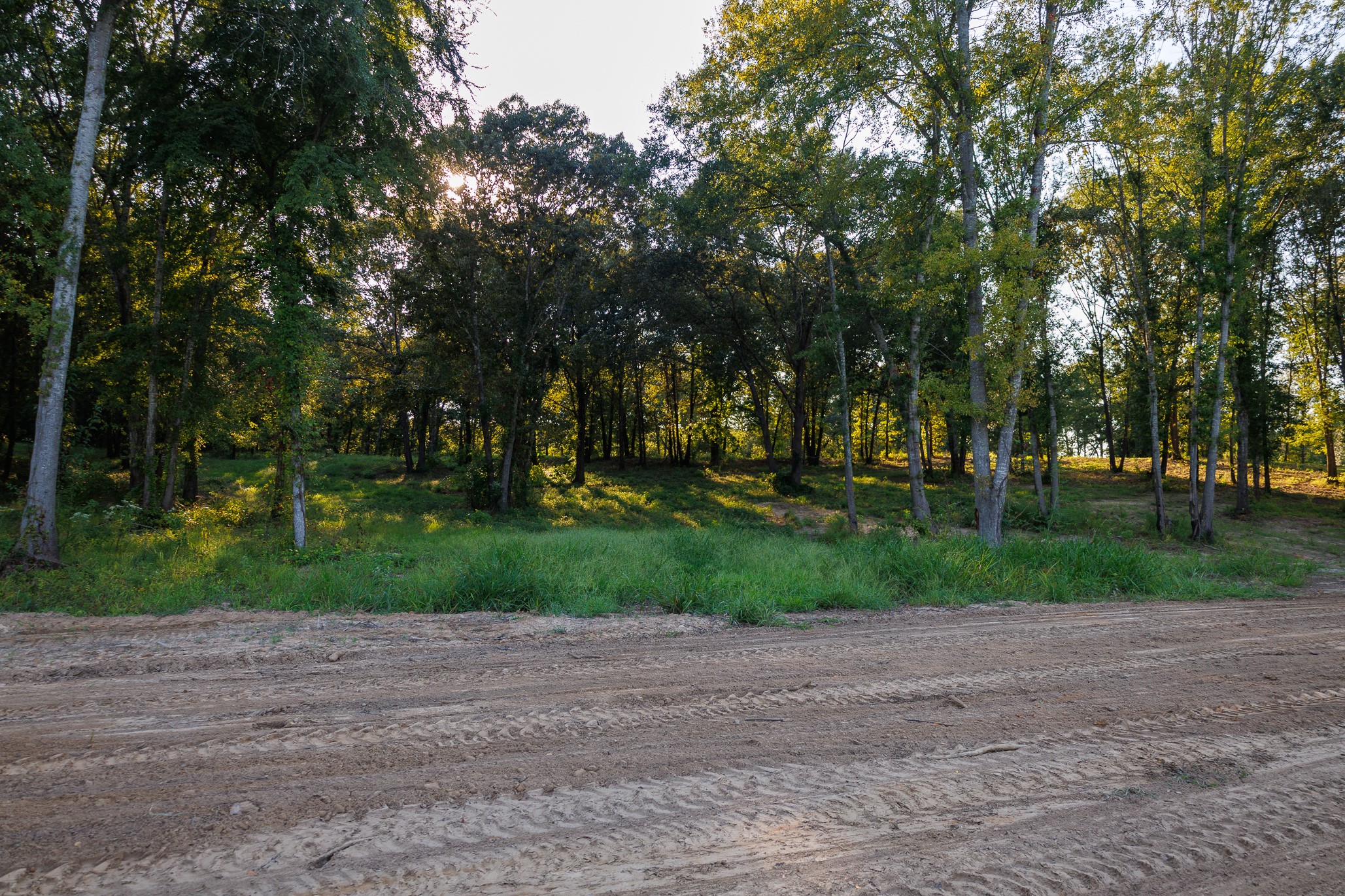 Tbd County Road 480 Lindale TX 75771