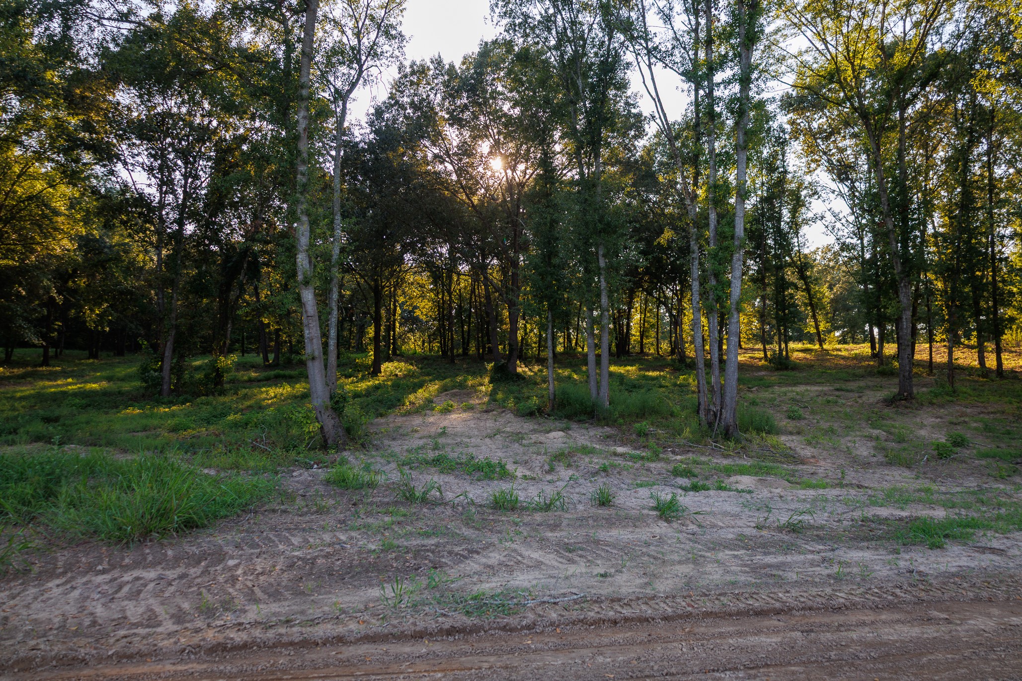 Tbd County Road 480 Lindale TX 75771