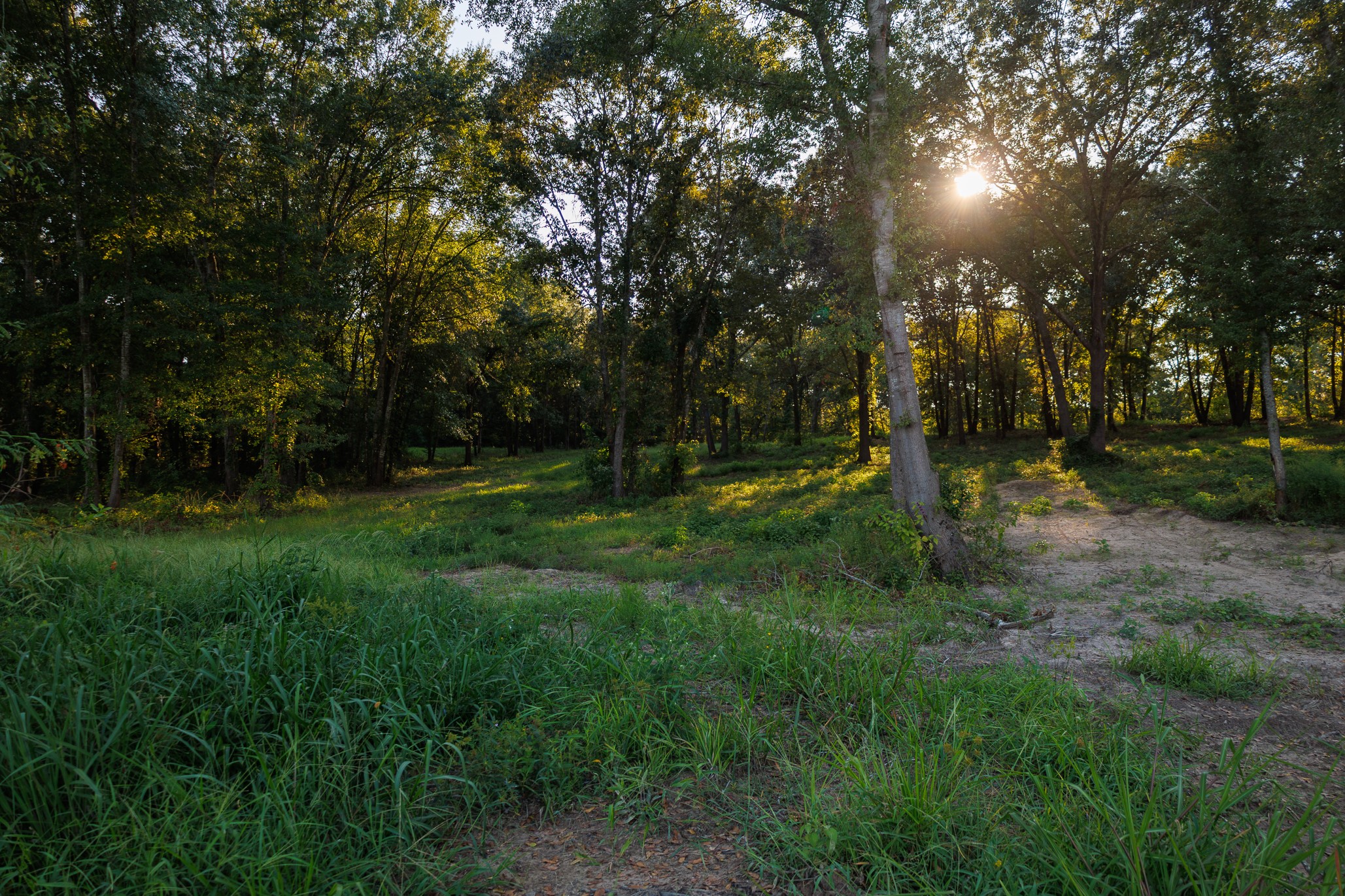 Tbd County Road 480 Lindale TX 75771