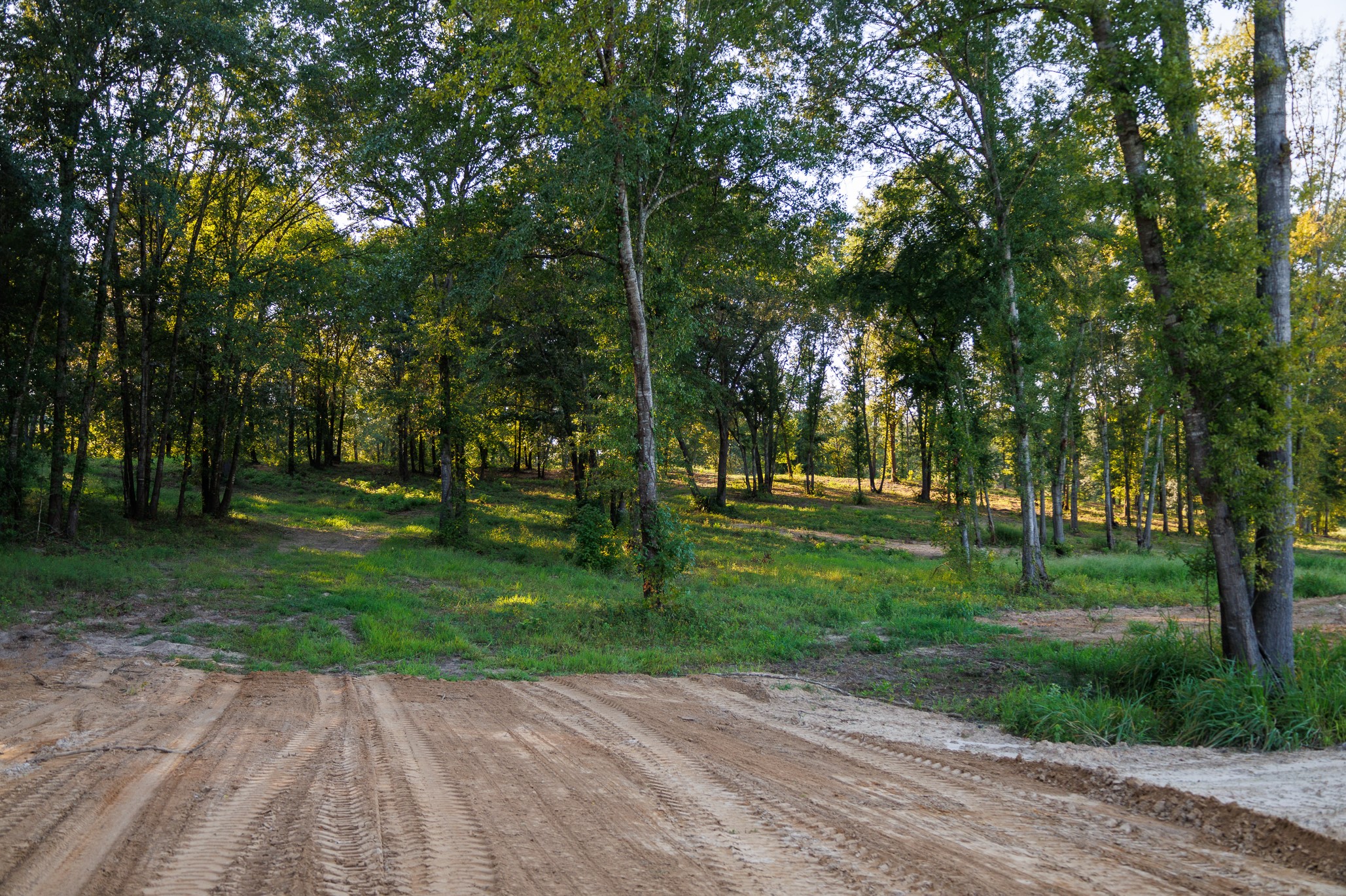Tbd County Road 480 Lindale TX 75771