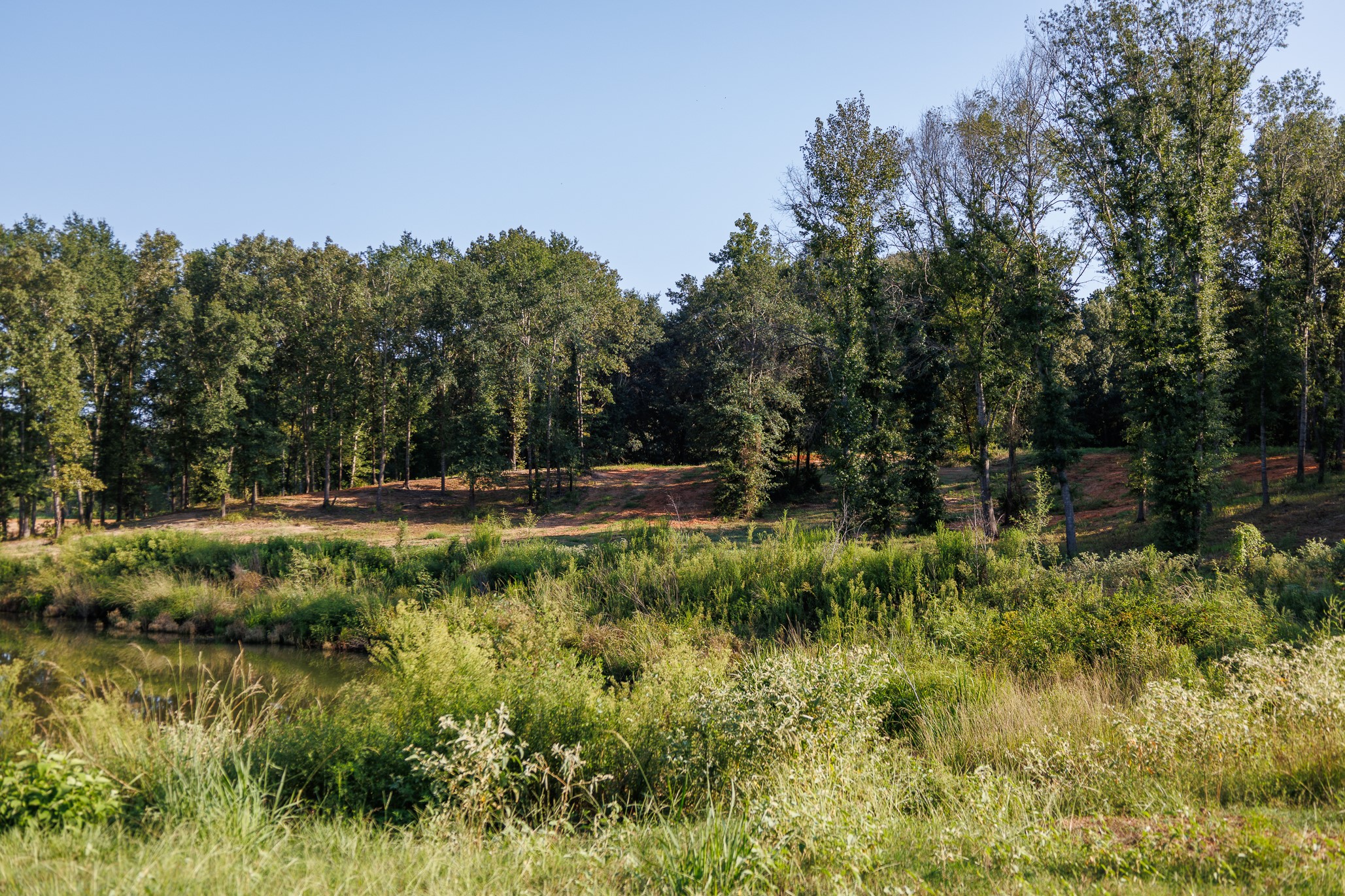 Tbd County Road 480 Lindale TX 75771