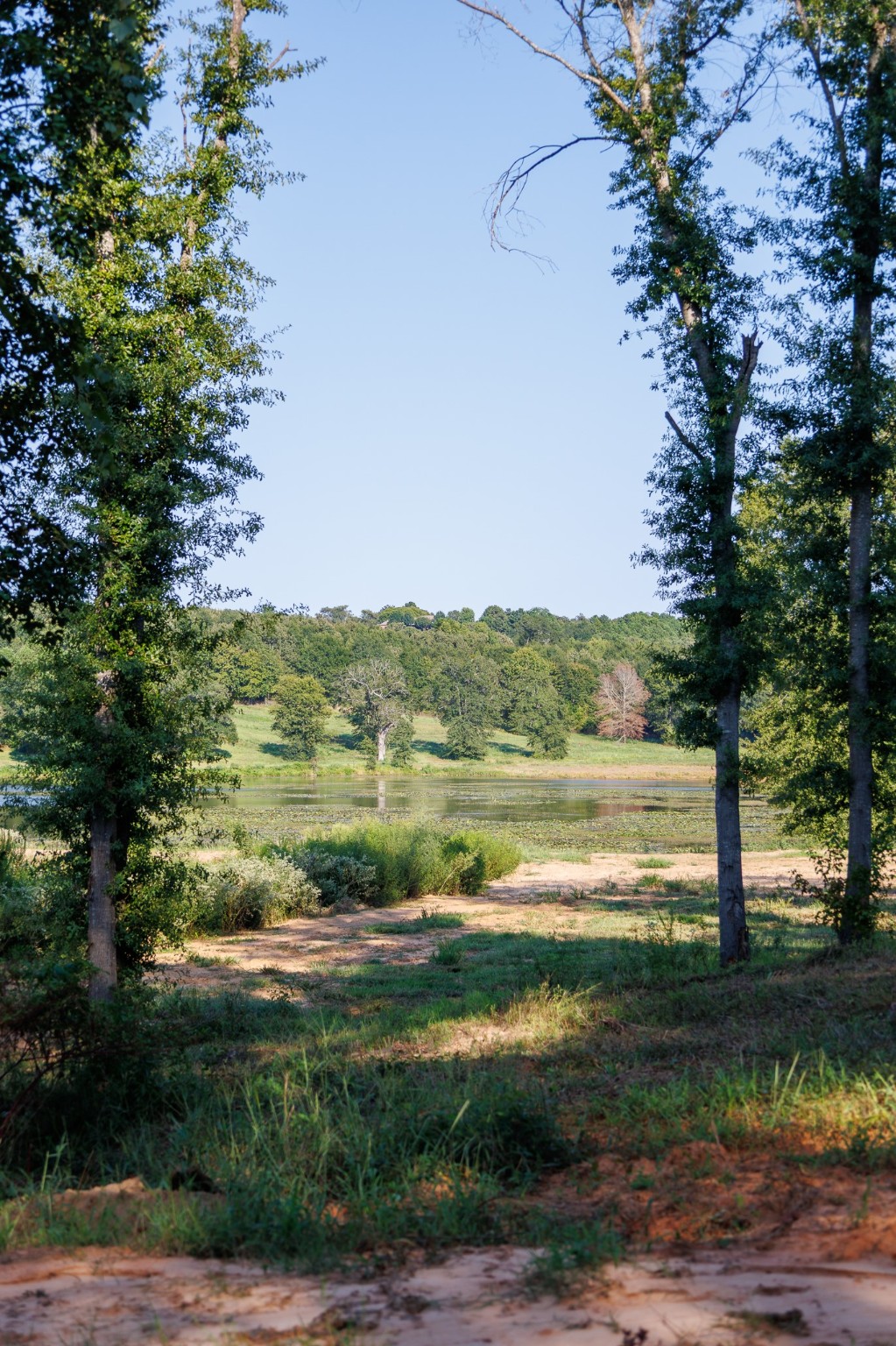 Tbd County Road 480 Lindale TX 75771
