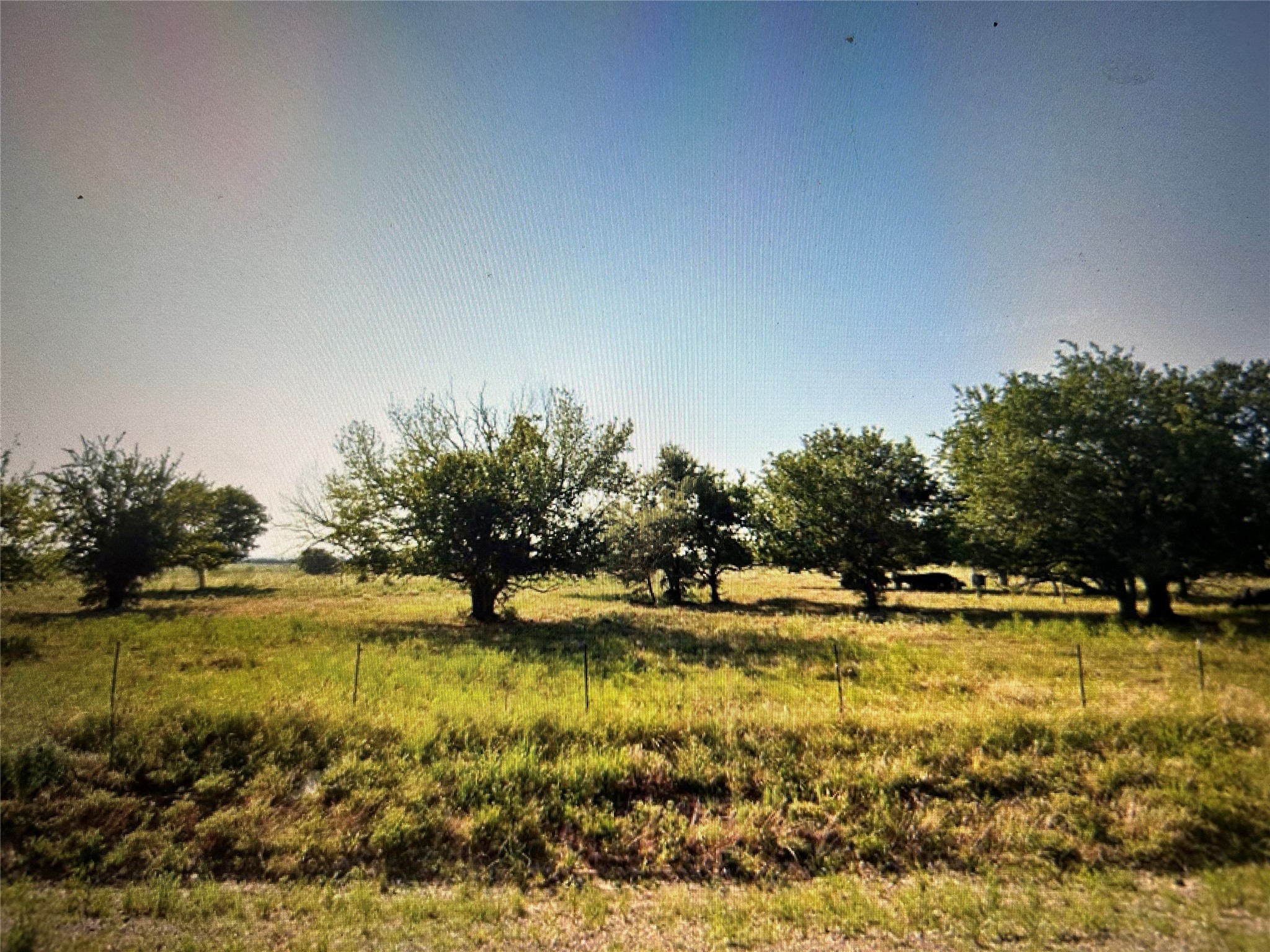 1201 Fm Gainesville TX 76240