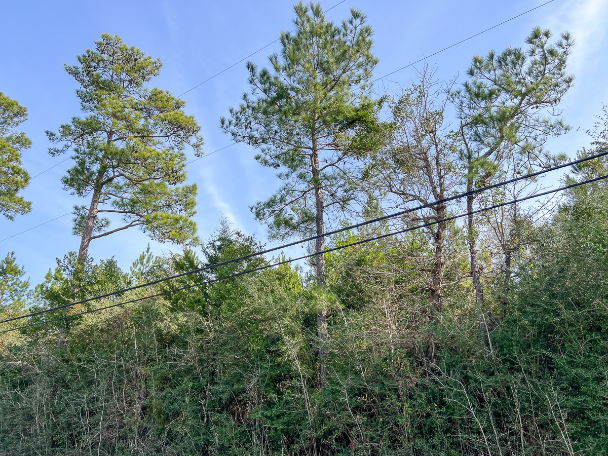 0 Fresenius Road Silsbee TX 77656