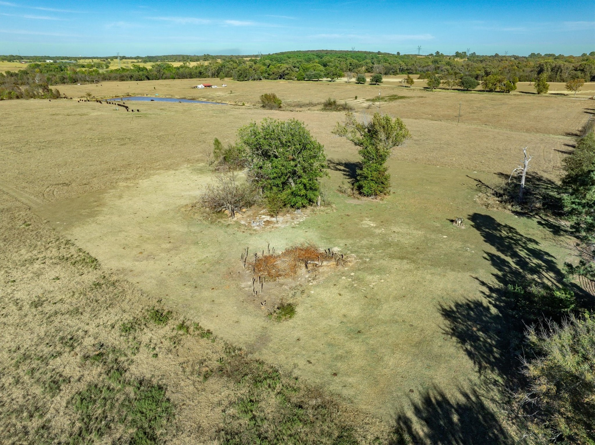 00 Fm 1651 Canton TX 75103