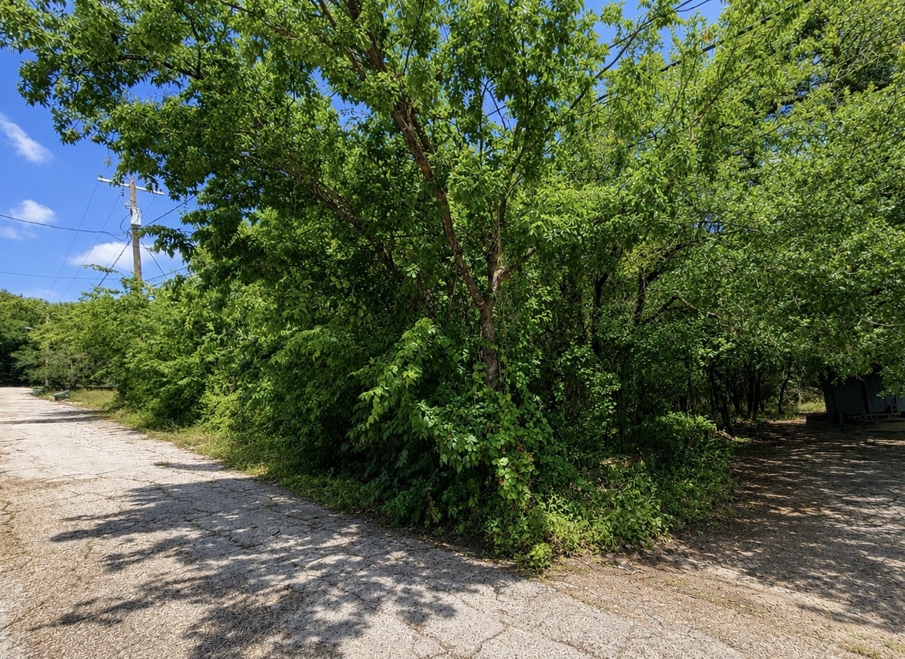 00 NW 10th Street Mineral Wells TX 76067
