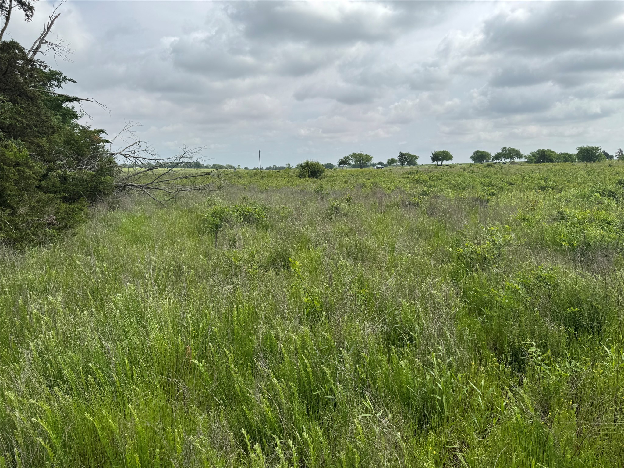 Tbd 2.824 Acres Fm 901 Gordonville TX 76245