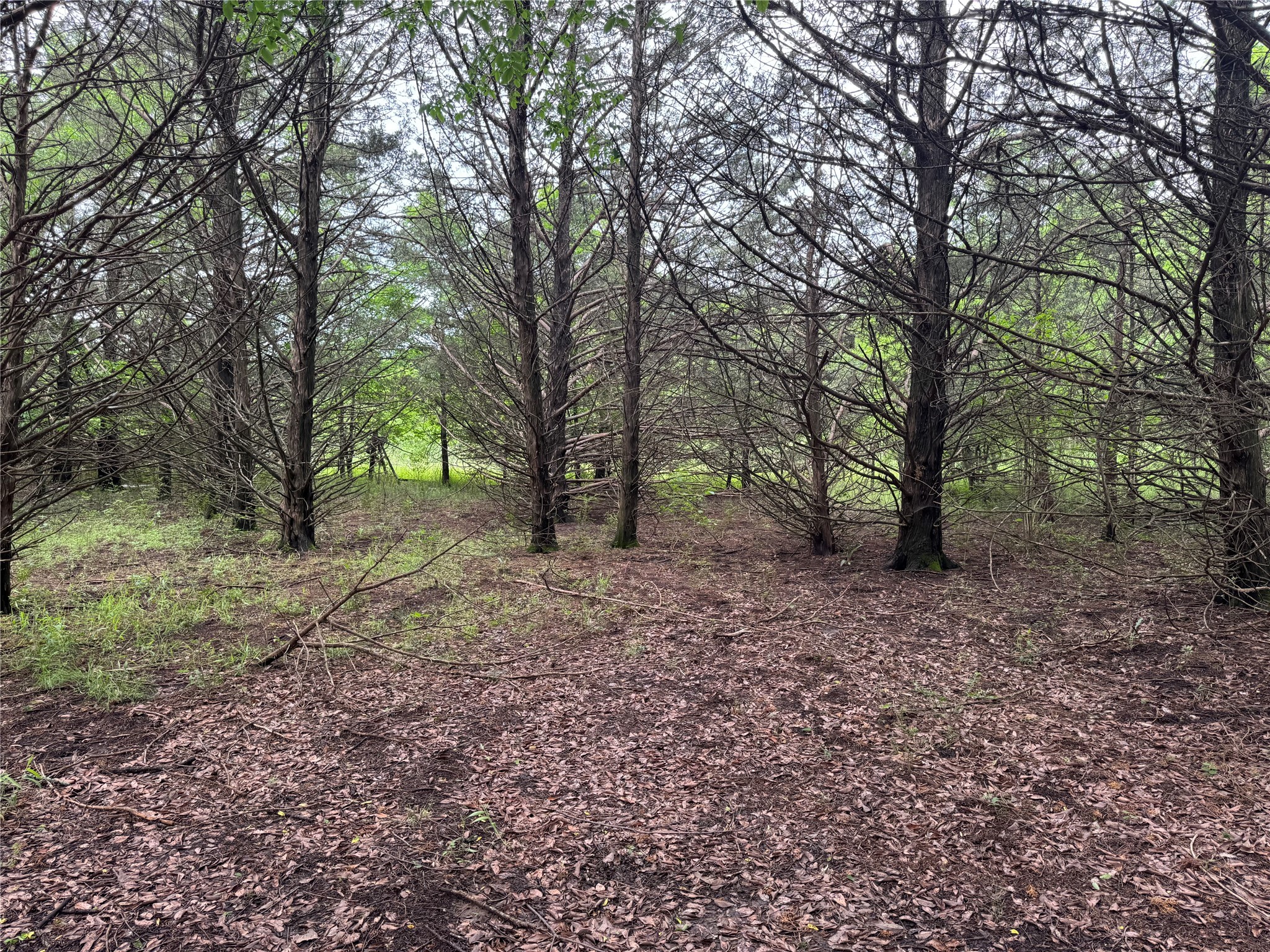 Tbd 2.824 Acres Fm 901 Gordonville TX 76245