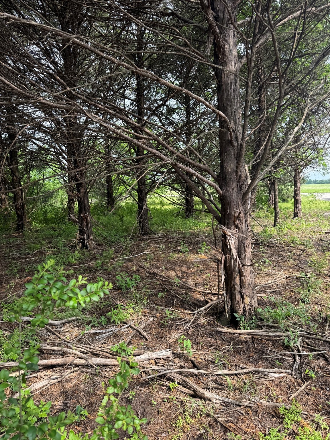 Tbd 2.824 Acres Fm 901 Gordonville TX 76245