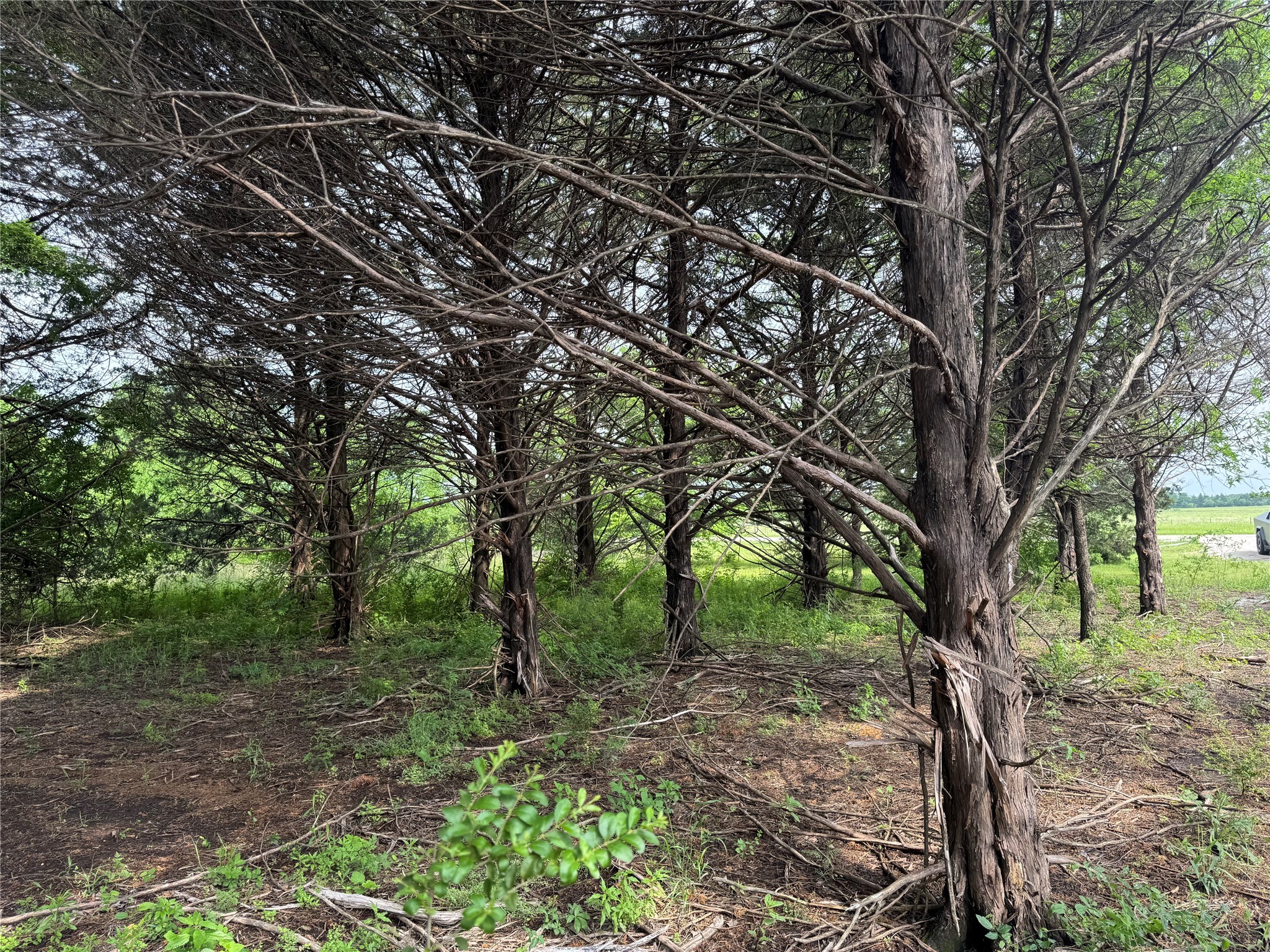 Tbd 2.824 Acres Fm 901 Gordonville TX 76245