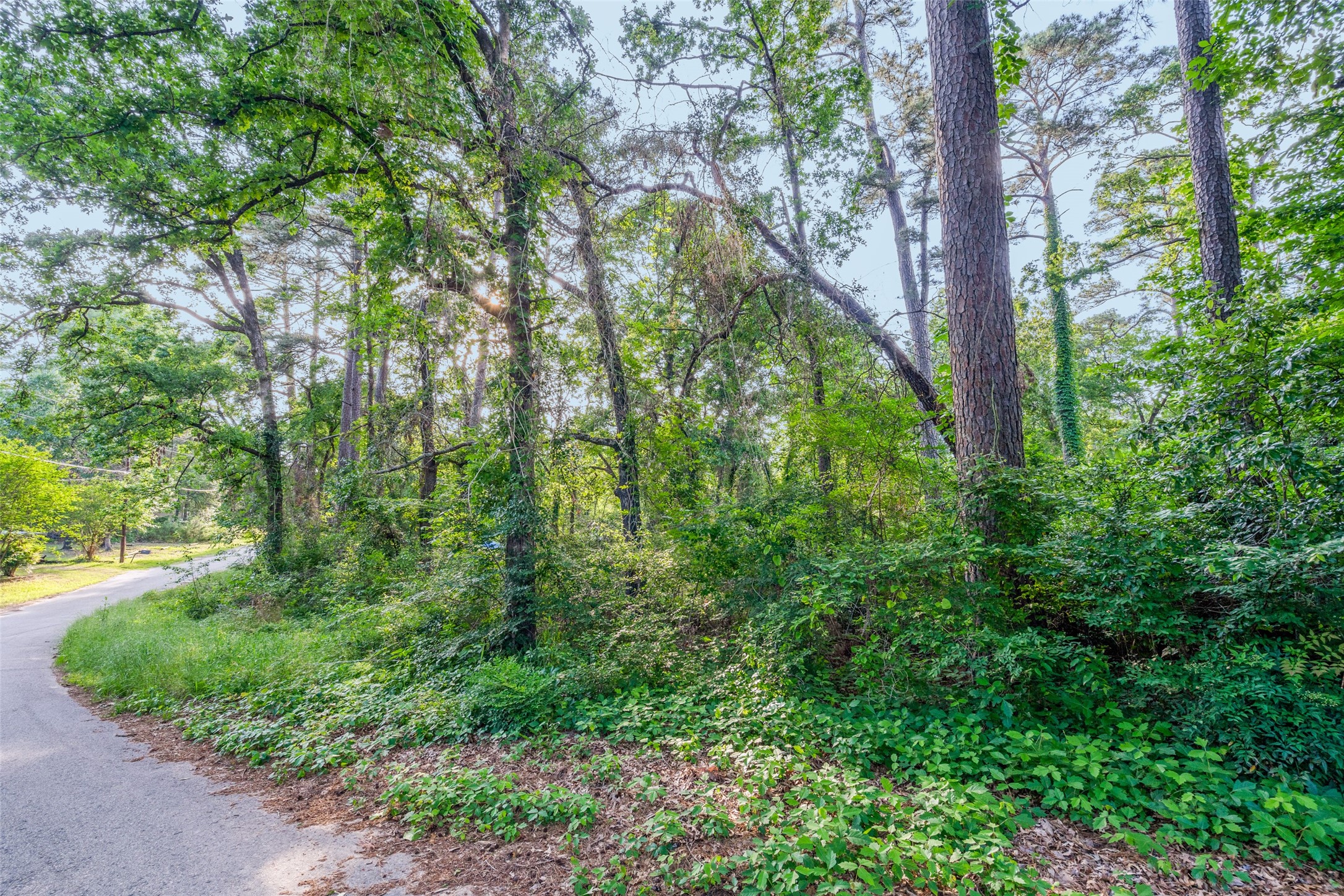 00 Forest Hill Drive Frankston TX 75763
