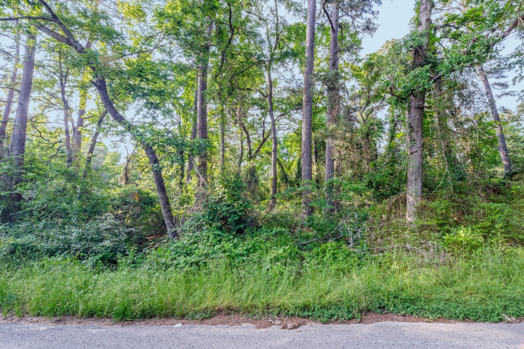 00 Forest Hill Drive Frankston TX 75763