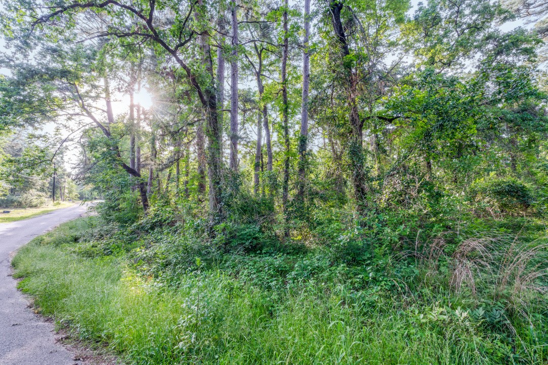 00 Forest Hill Drive Frankston TX 75763
