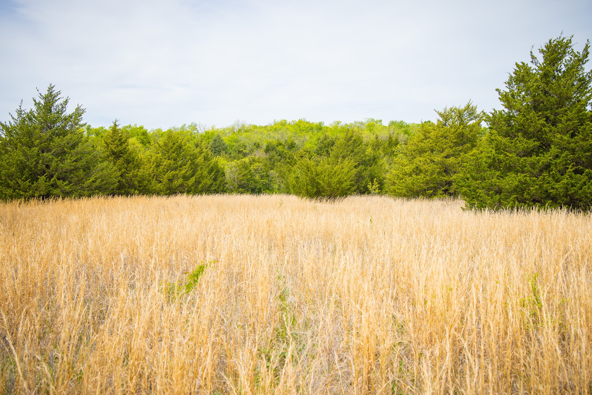 Lot 5 Pr 291 Dodd City TX 75438