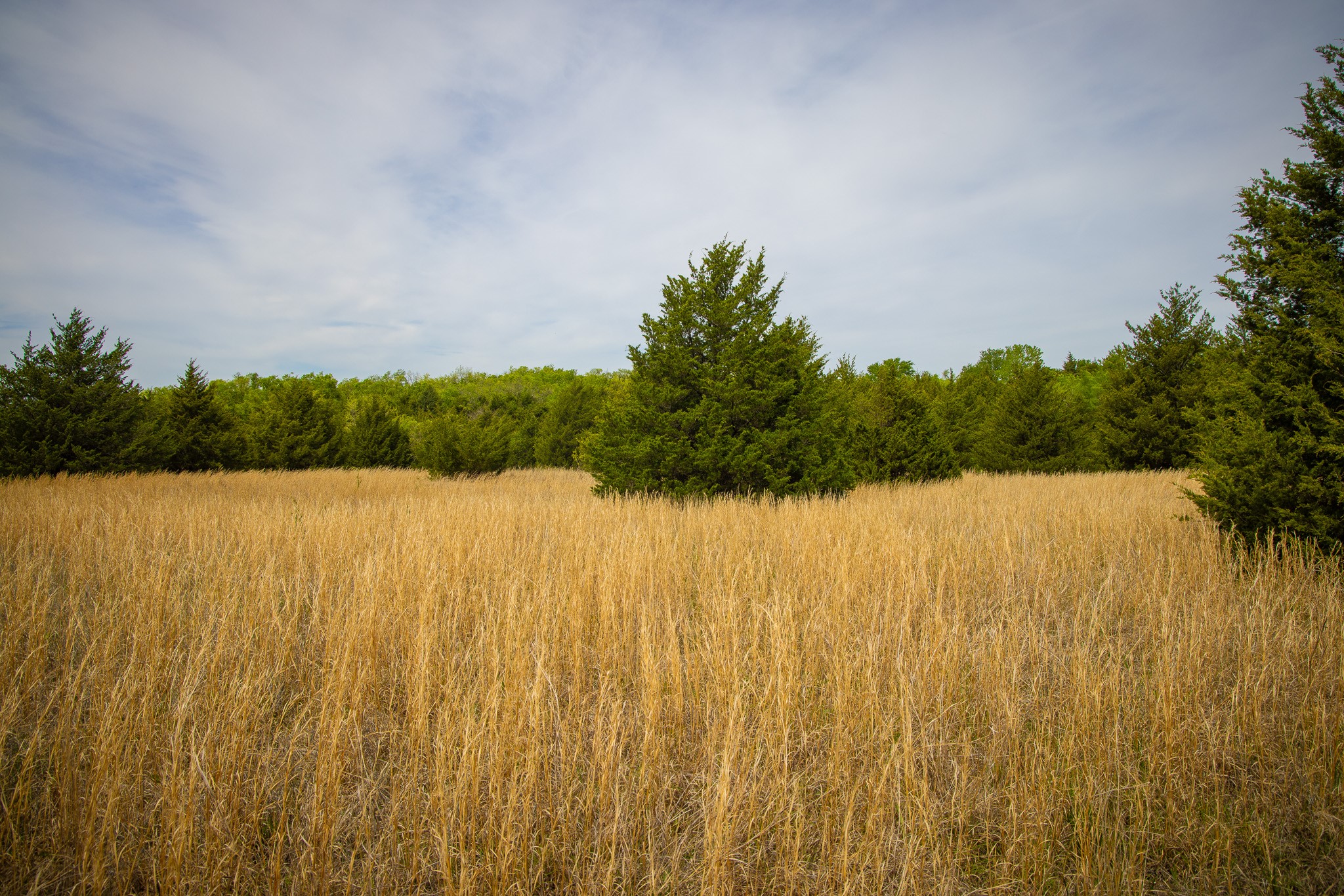 Lot 5 Pr 291 Dodd City TX 75438