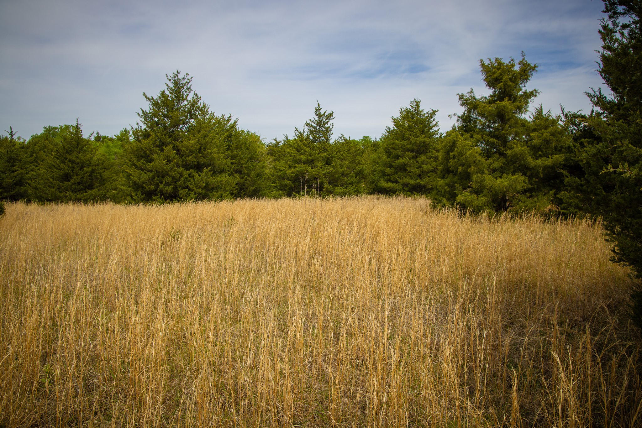 Lot 5 Pr 291 Dodd City TX 75438