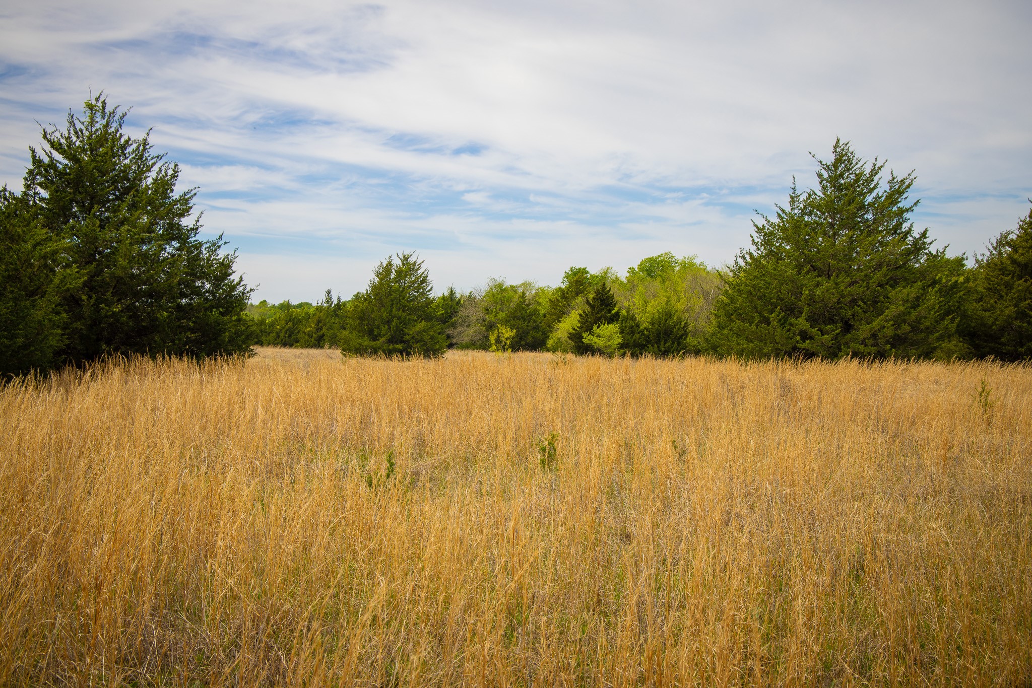 Lot 5 Pr 291 Dodd City TX 75438