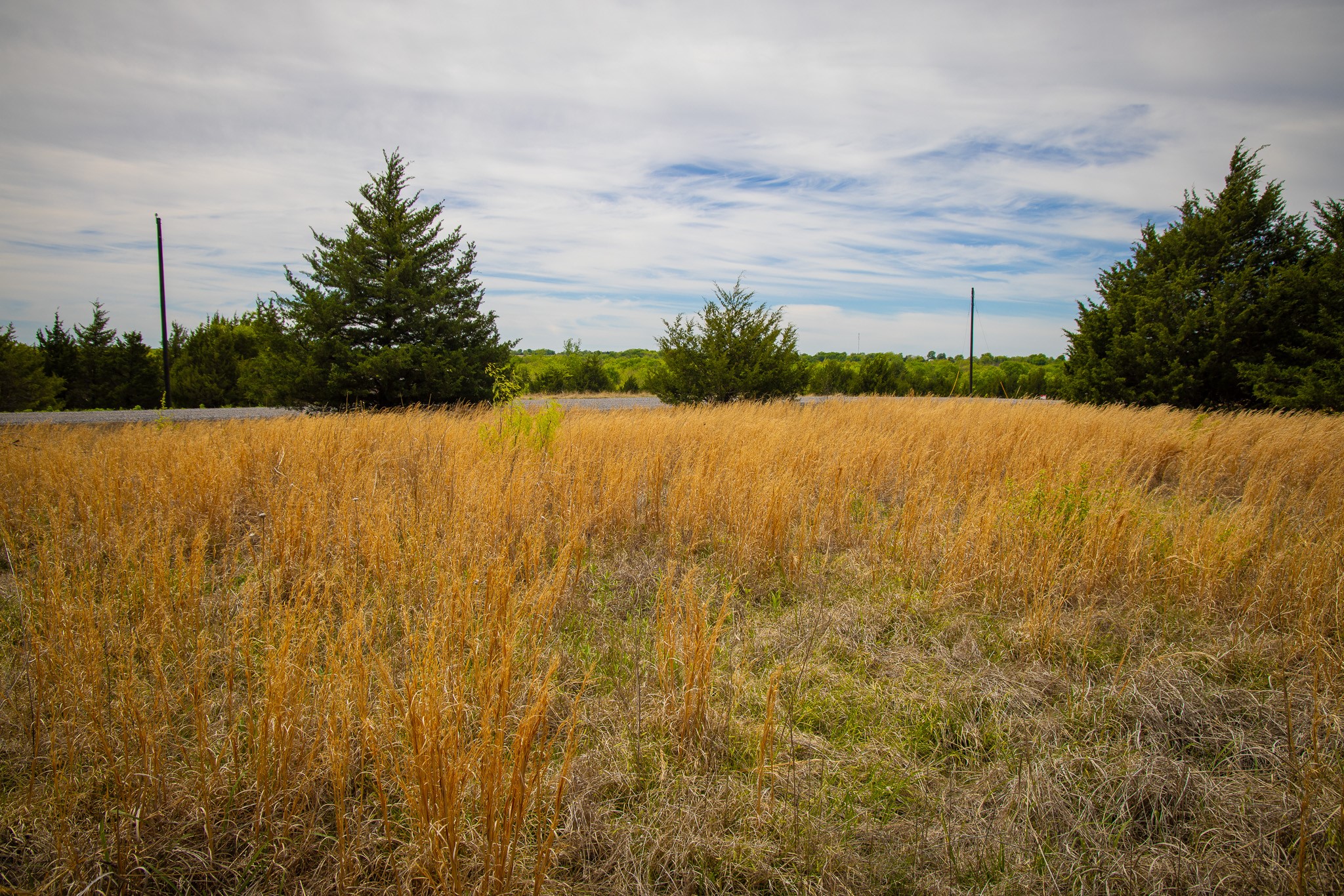 Lot 5 Pr 291 Dodd City TX 75438