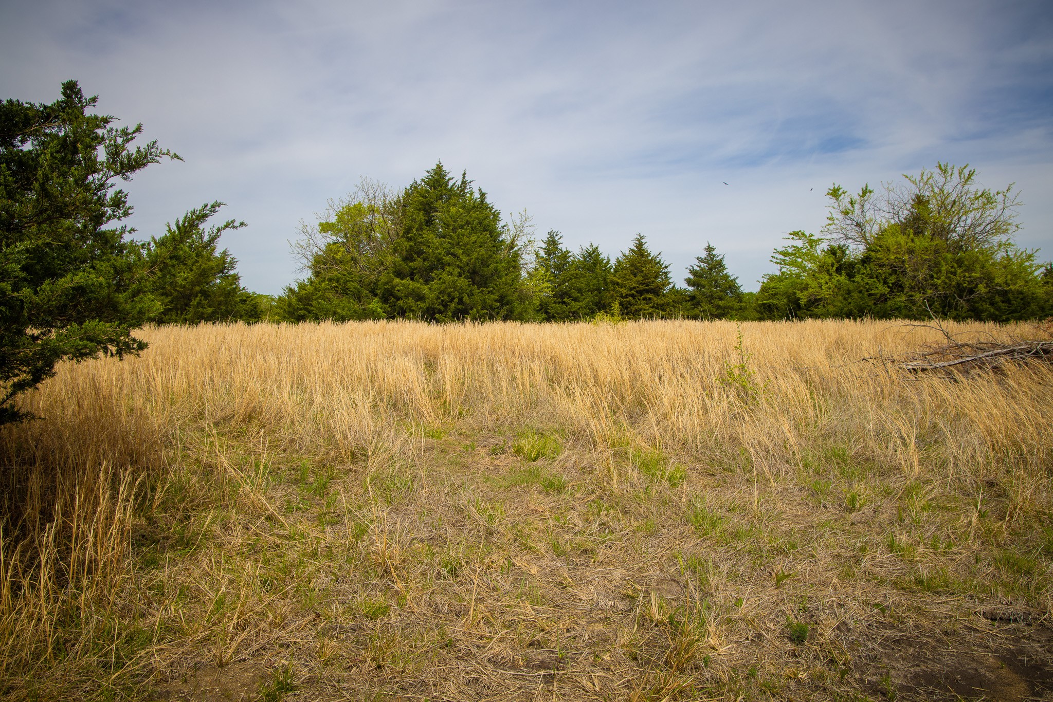 Lot 5 Pr 291 Dodd City TX 75438