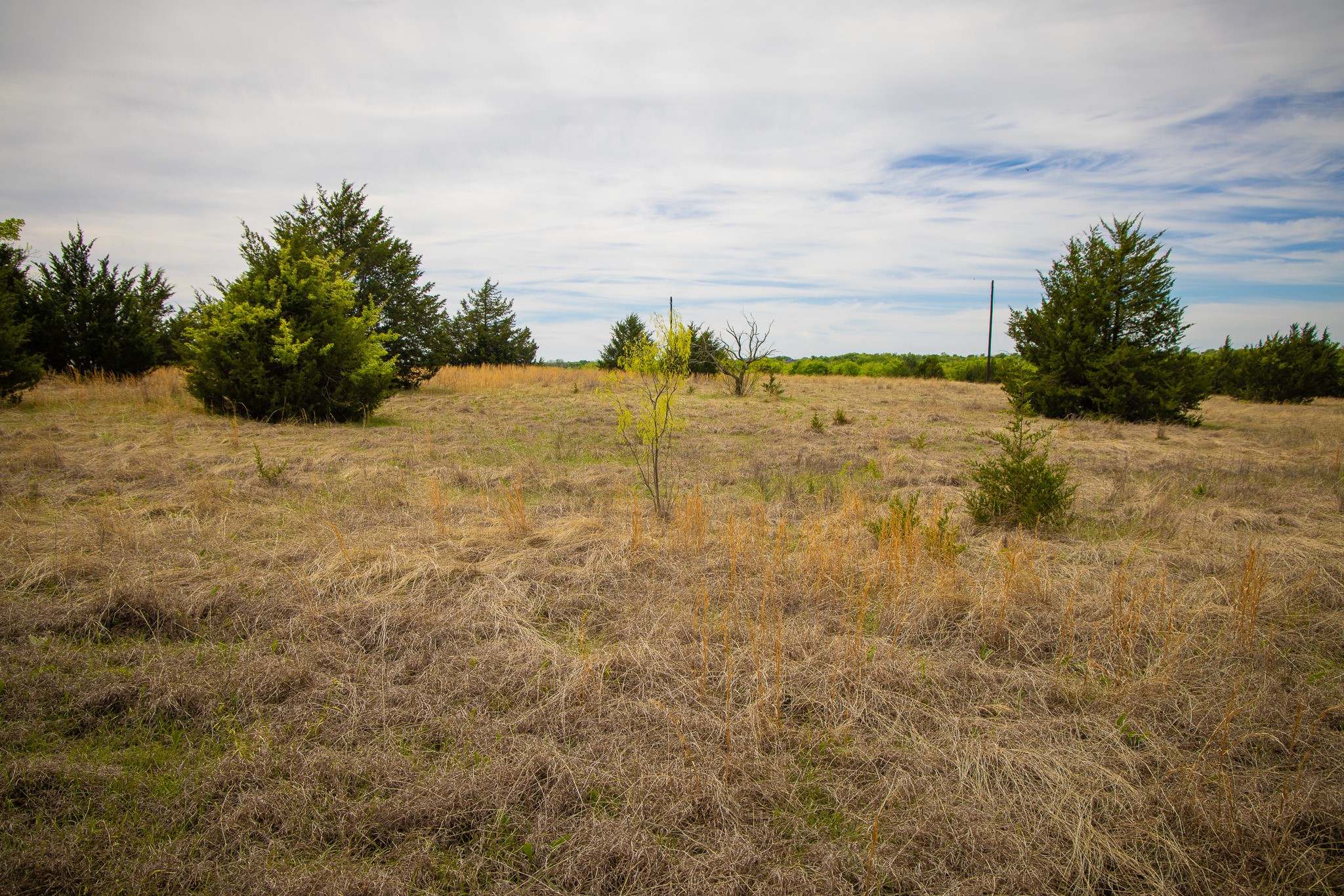 Lot 5 Pr 291 Dodd City TX 75438