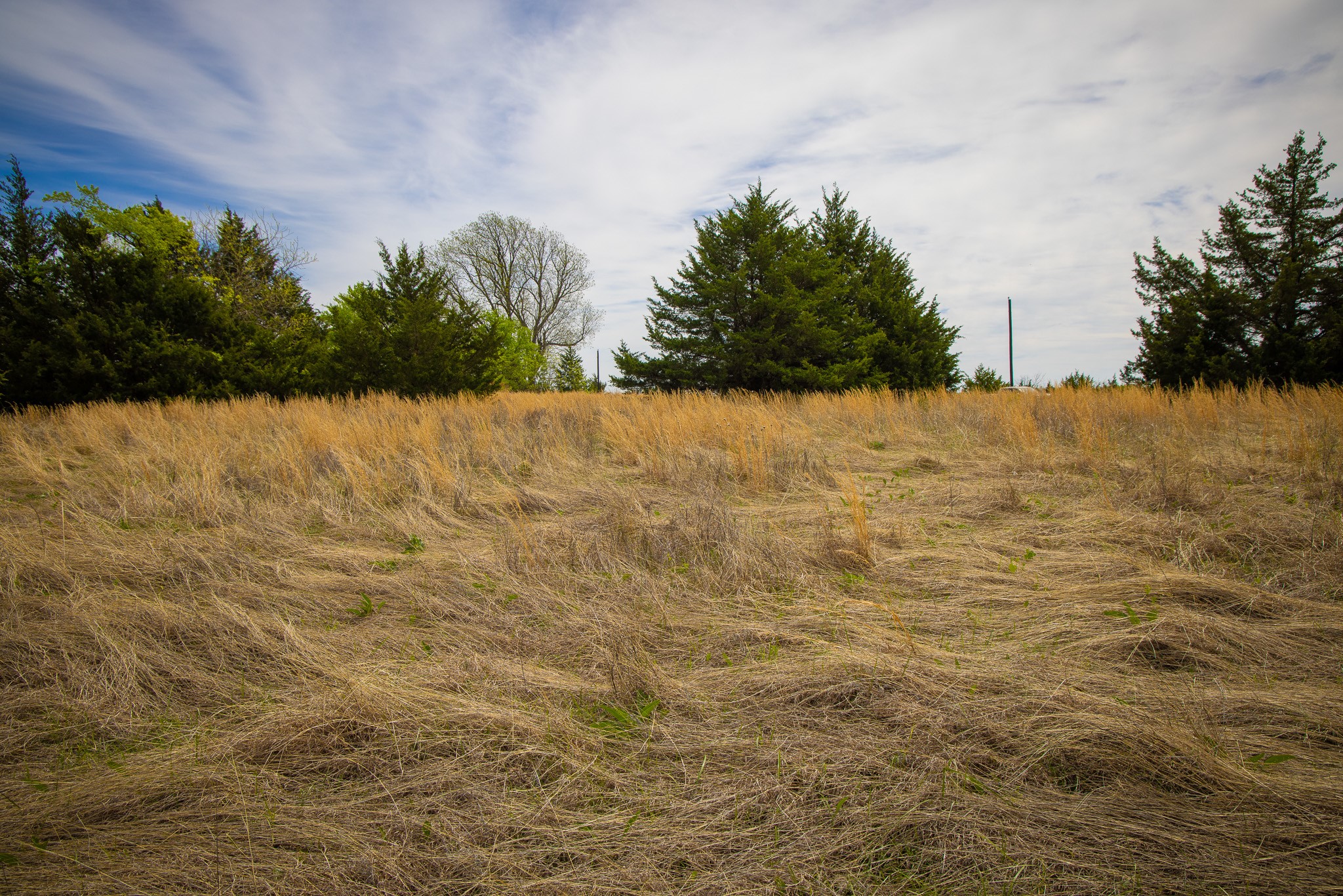 Lot 5 Pr 291 Dodd City TX 75438