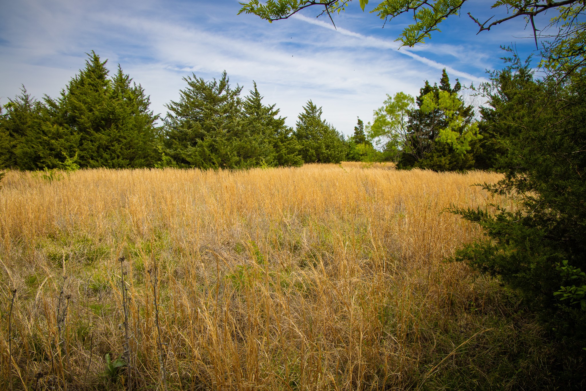Lot 5 Pr 291 Dodd City TX 75438
