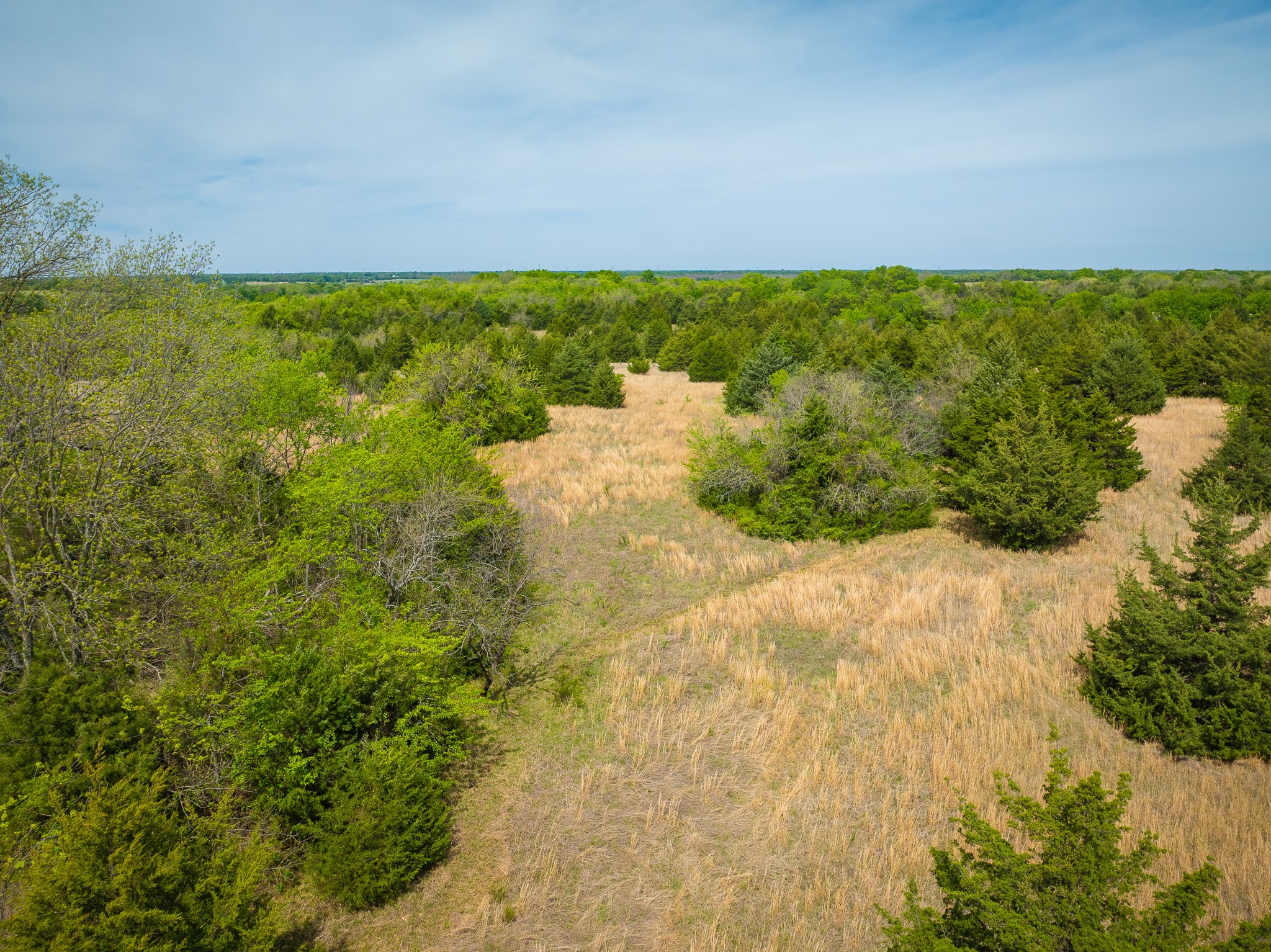 Lot 5 Pr 291 Dodd City TX 75438