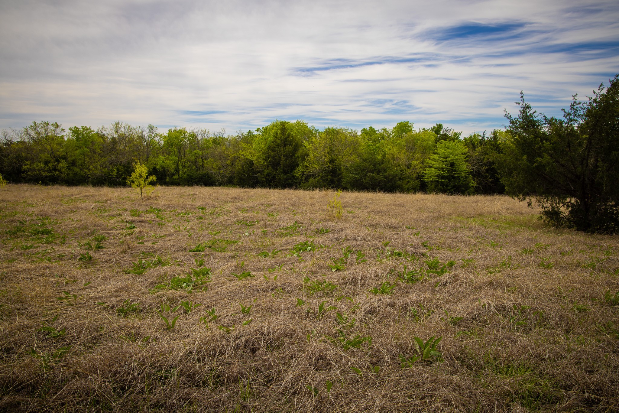 Lot 5 Pr 291 Dodd City TX 75438
