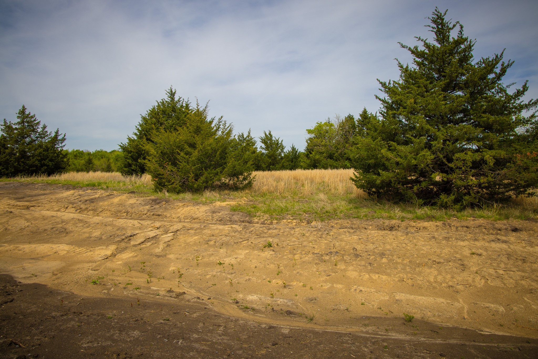 Lot 5 Pr 291 Dodd City TX 75438