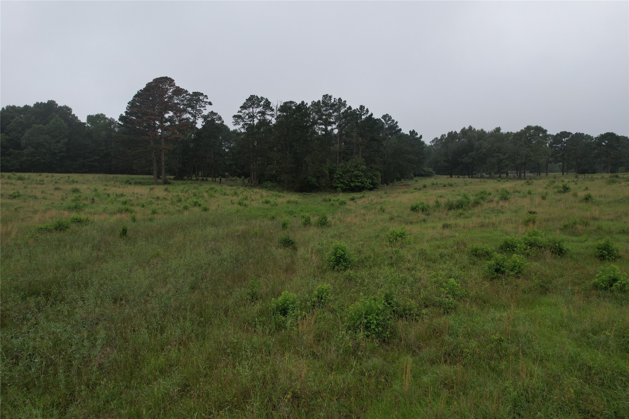 Tbd-d Fm 2867 Henderson TX 75654