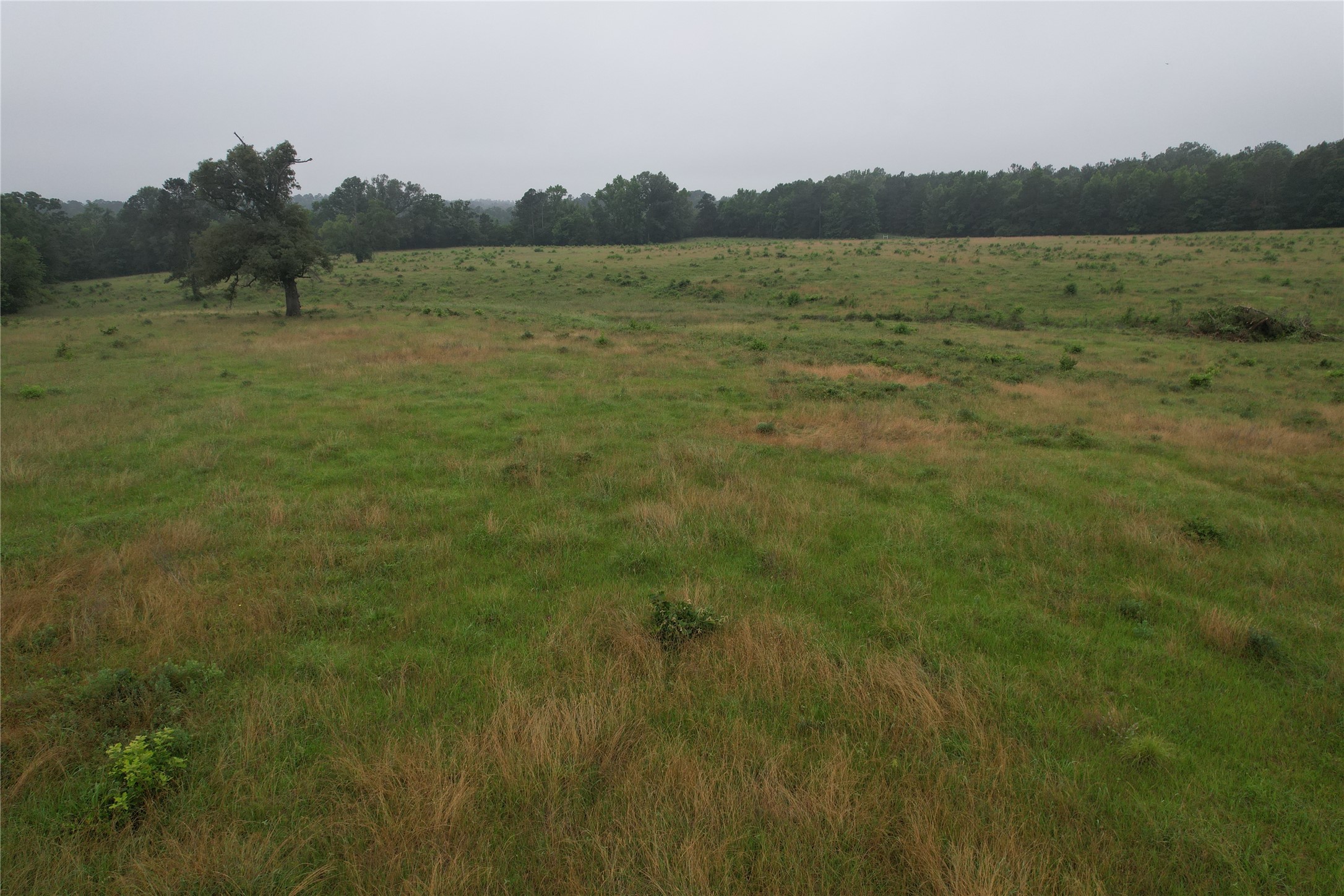 Tbd-d Fm 2867 Henderson TX 75654