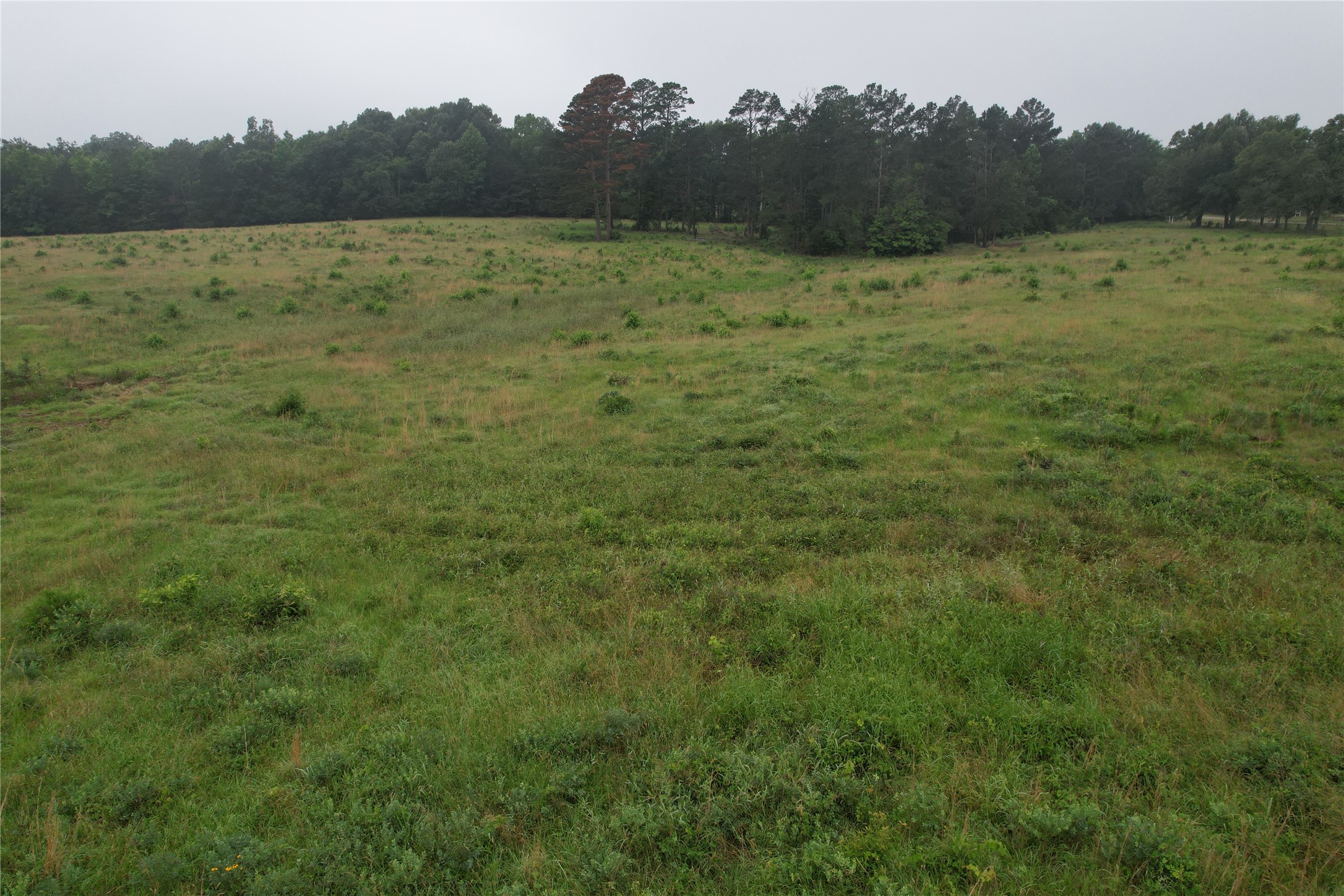 Tbd-d Fm 2867 Henderson TX 75654