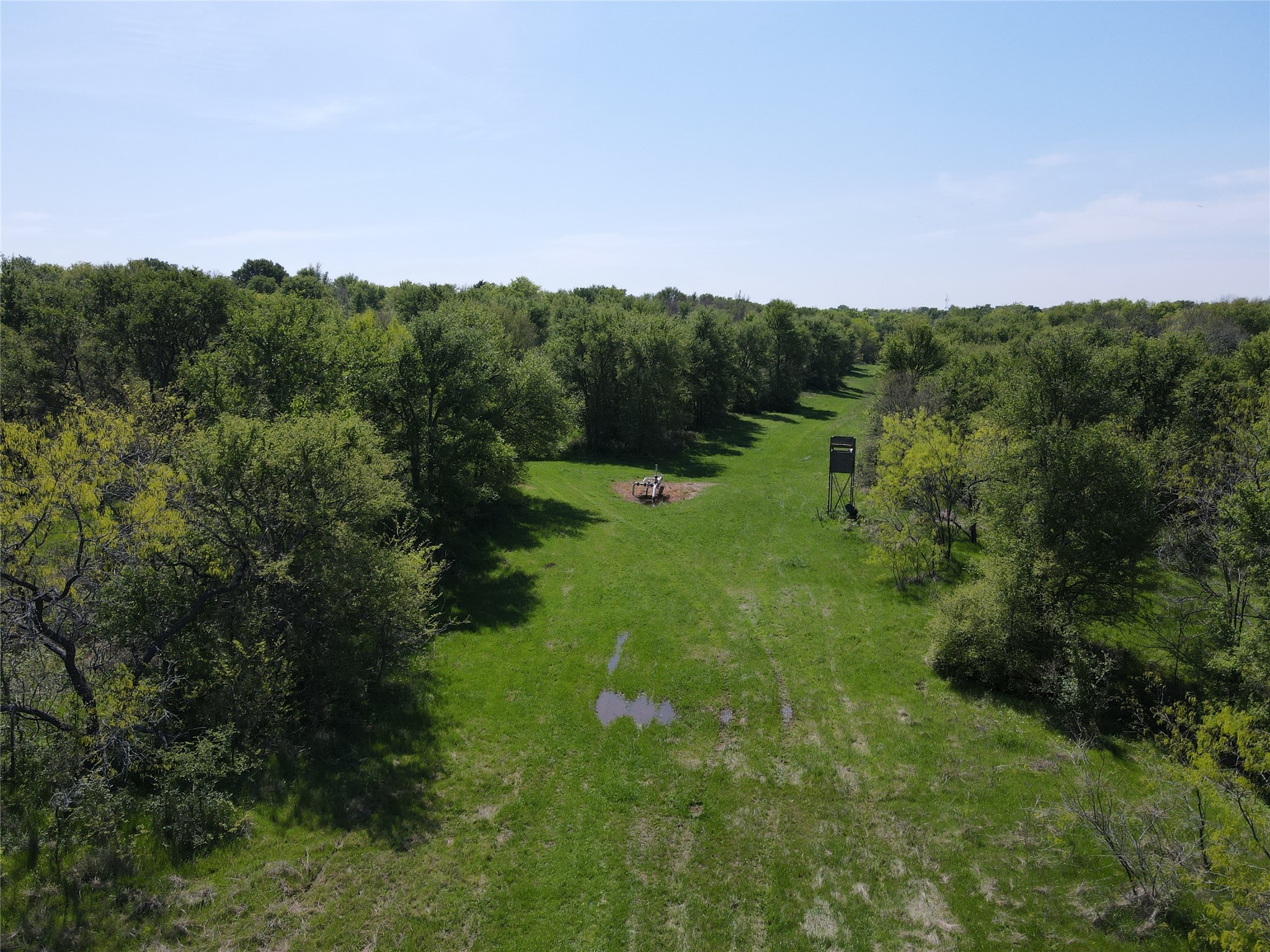 Tbd 149.71 Acres SE Cr 1240 Streetman TX 75859