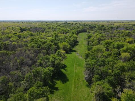 Tbd 149.71 Acres SE Cr 1240 Streetman TX 75859