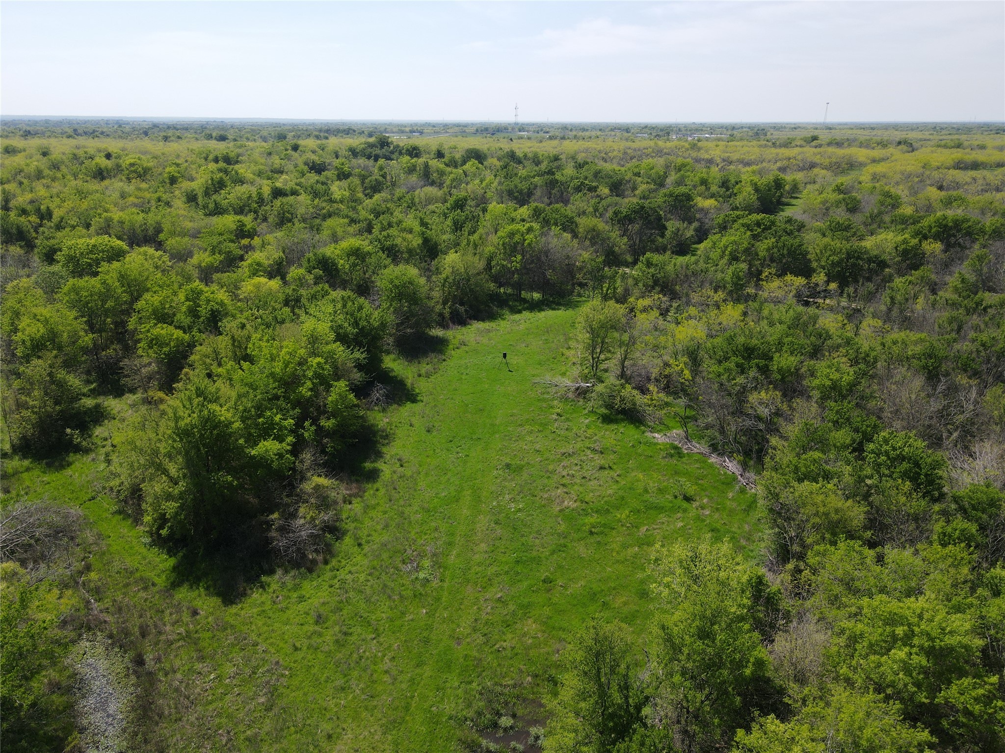 Tbd 149.71 Acres SE Cr 1240 Streetman TX 75859