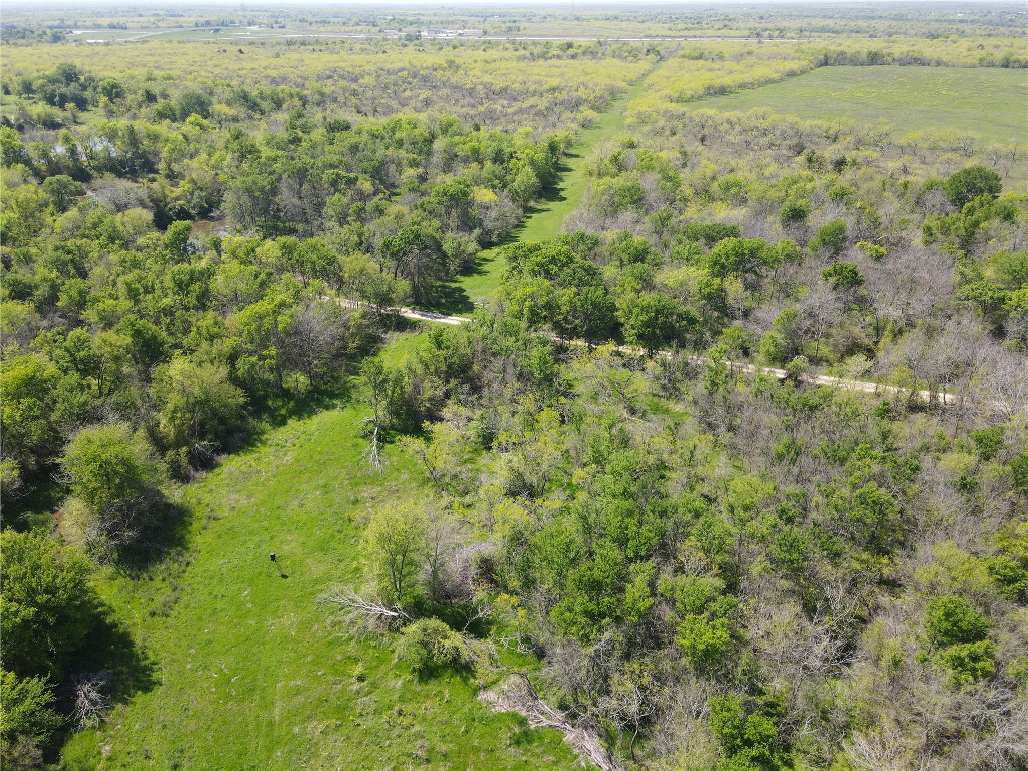 Tbd 149.71 Acres SE Cr 1240 Streetman TX 75859
